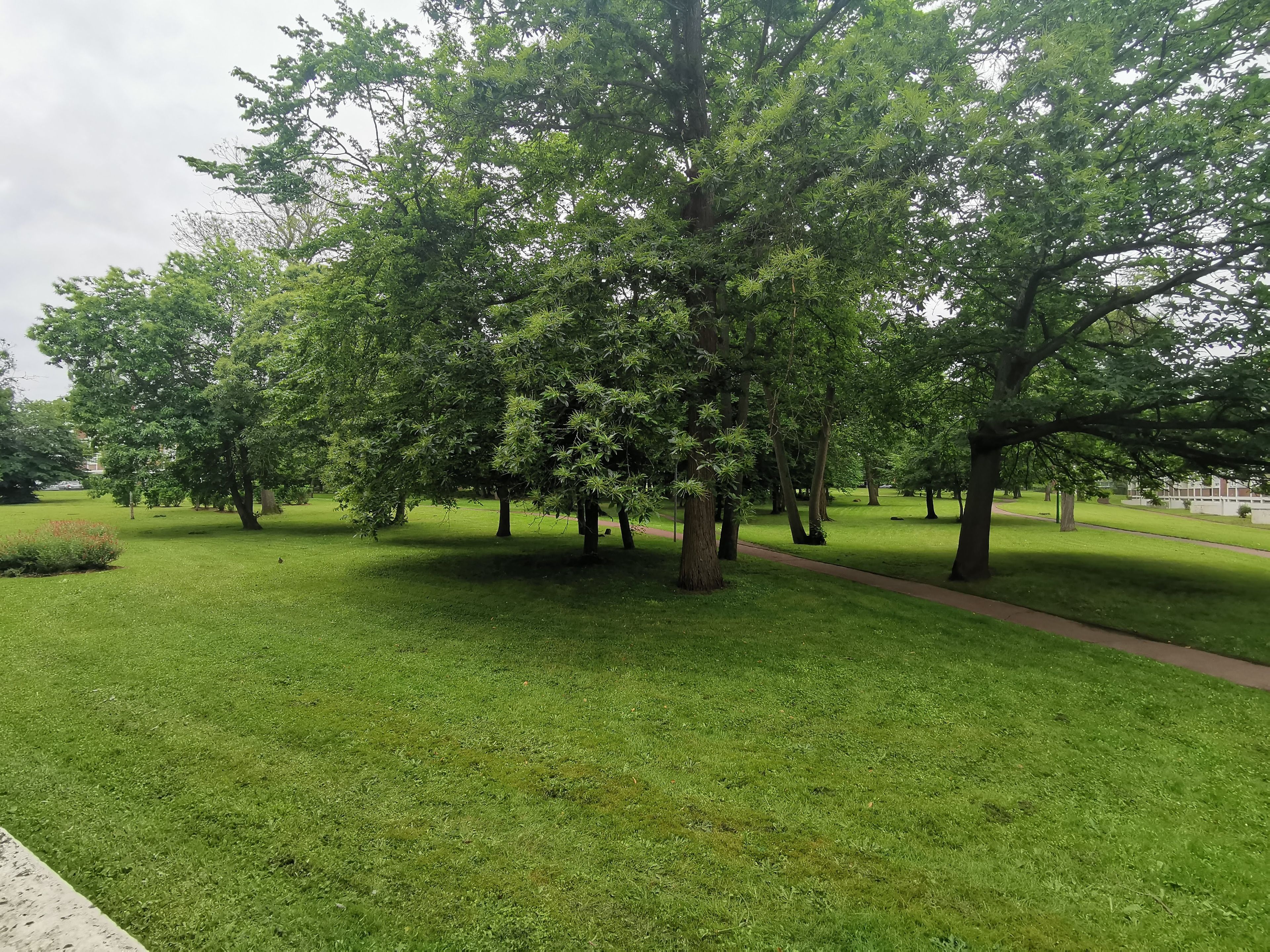 image-18