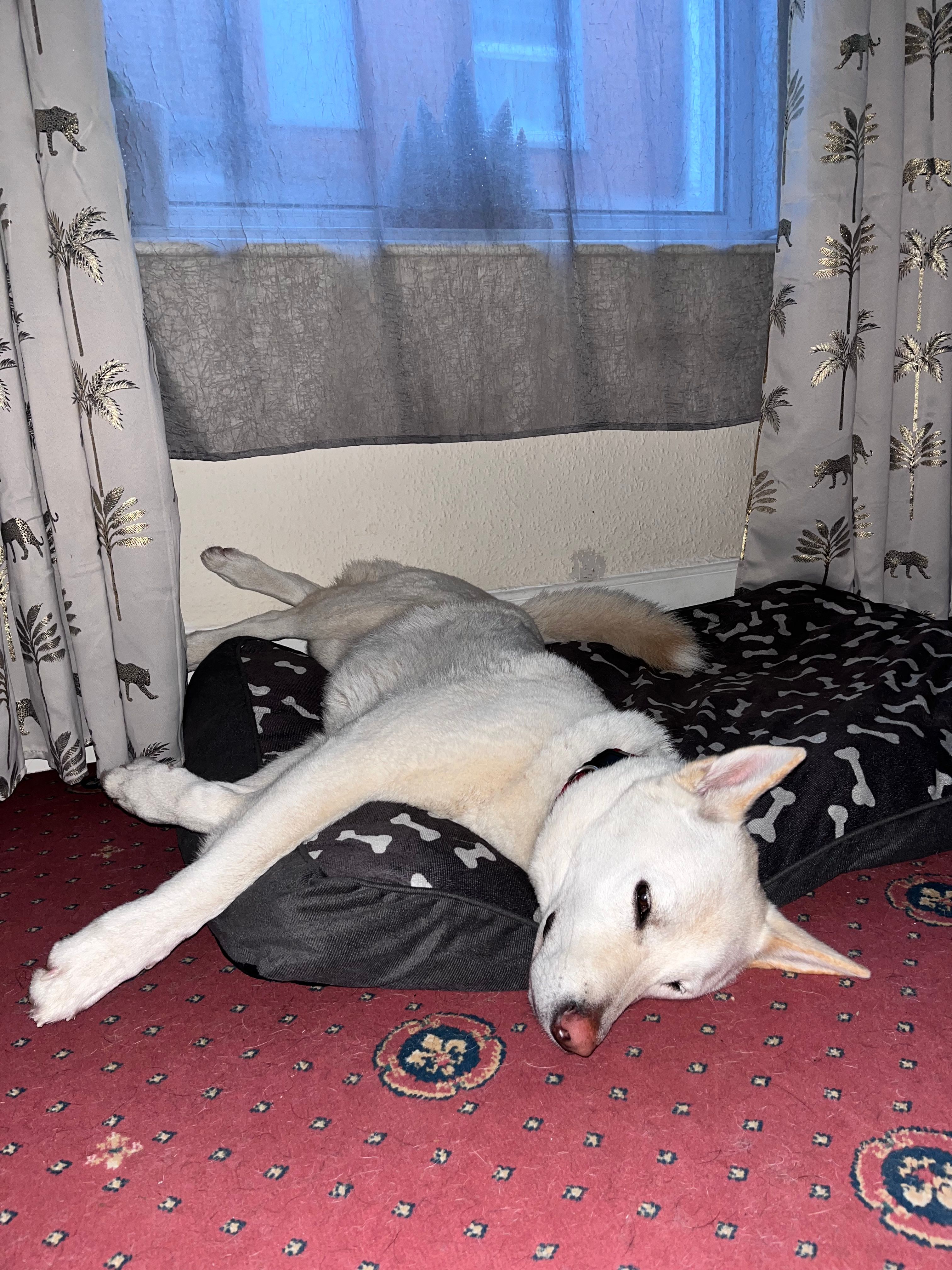 image-20