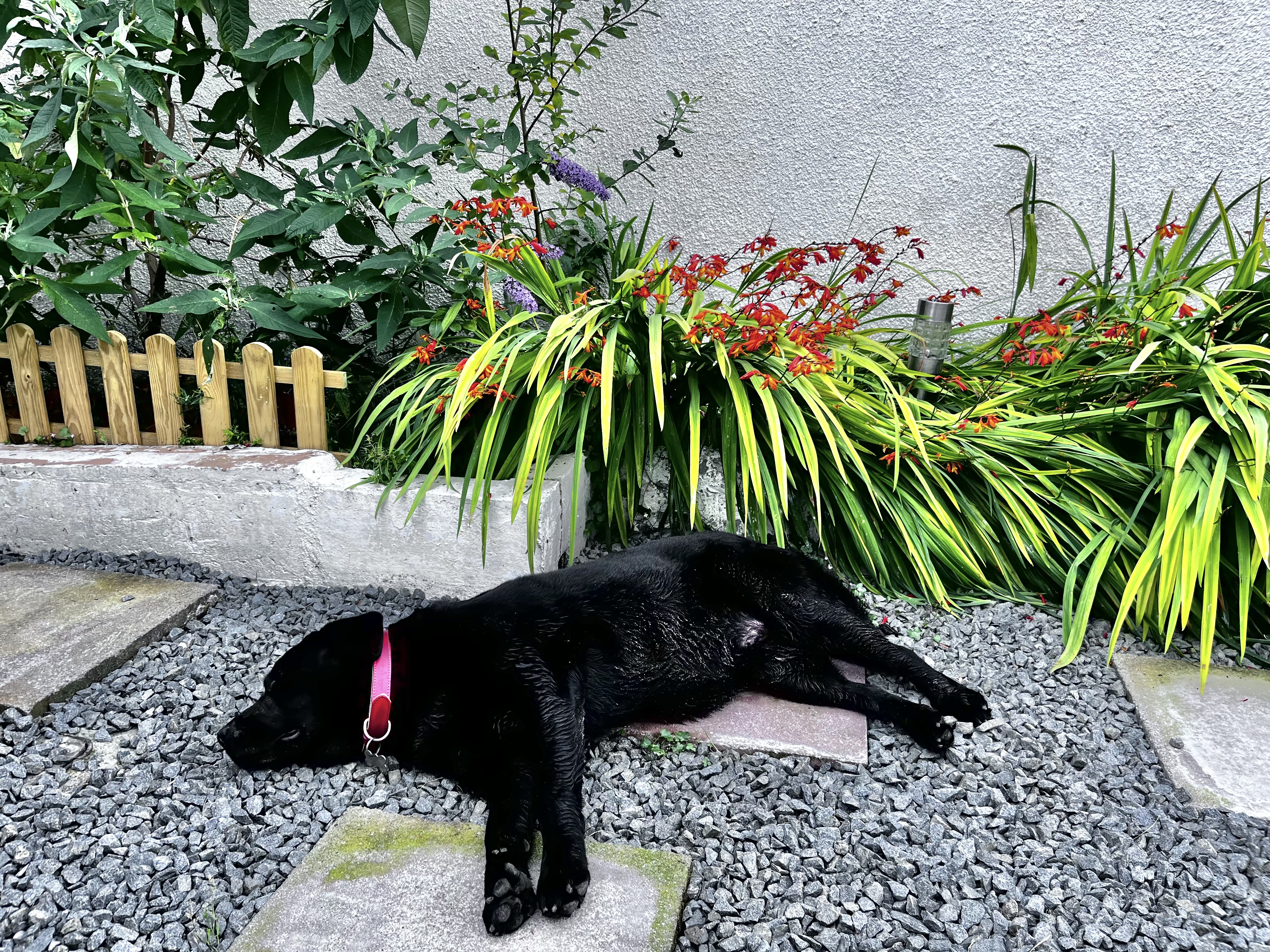 image-11