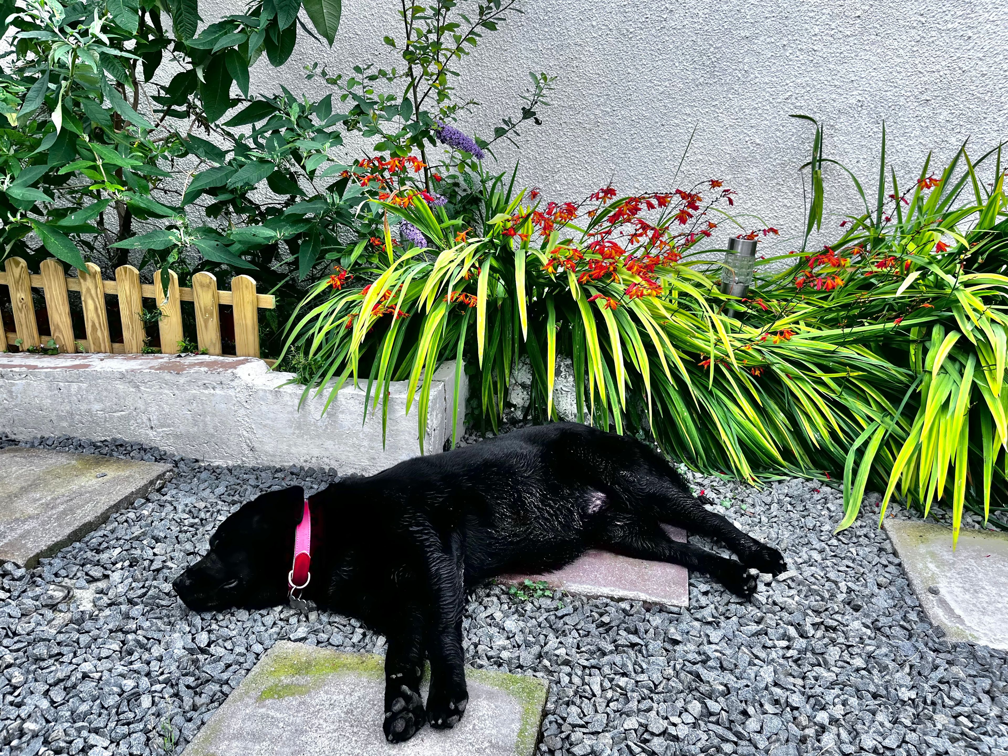 image-11