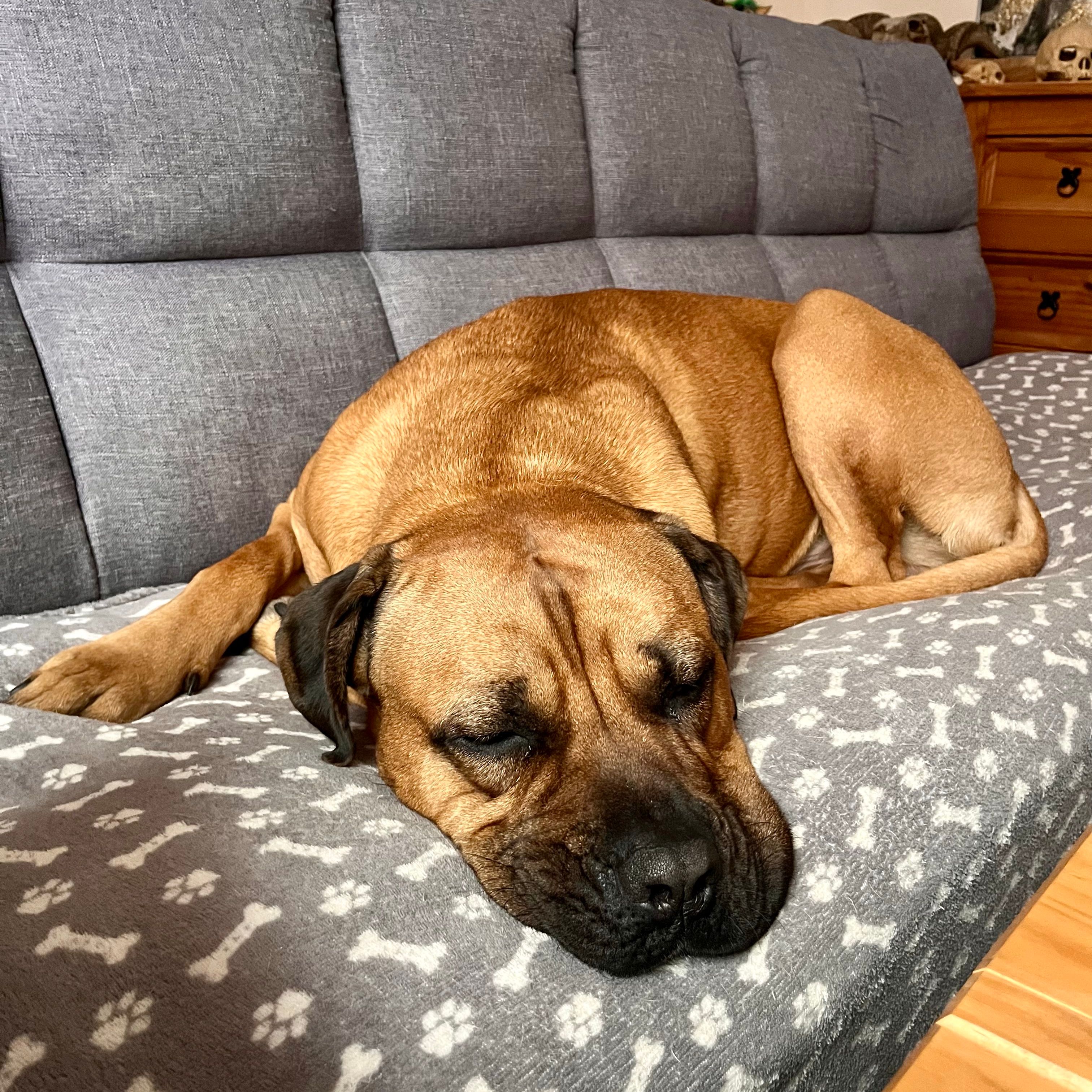 Murphy