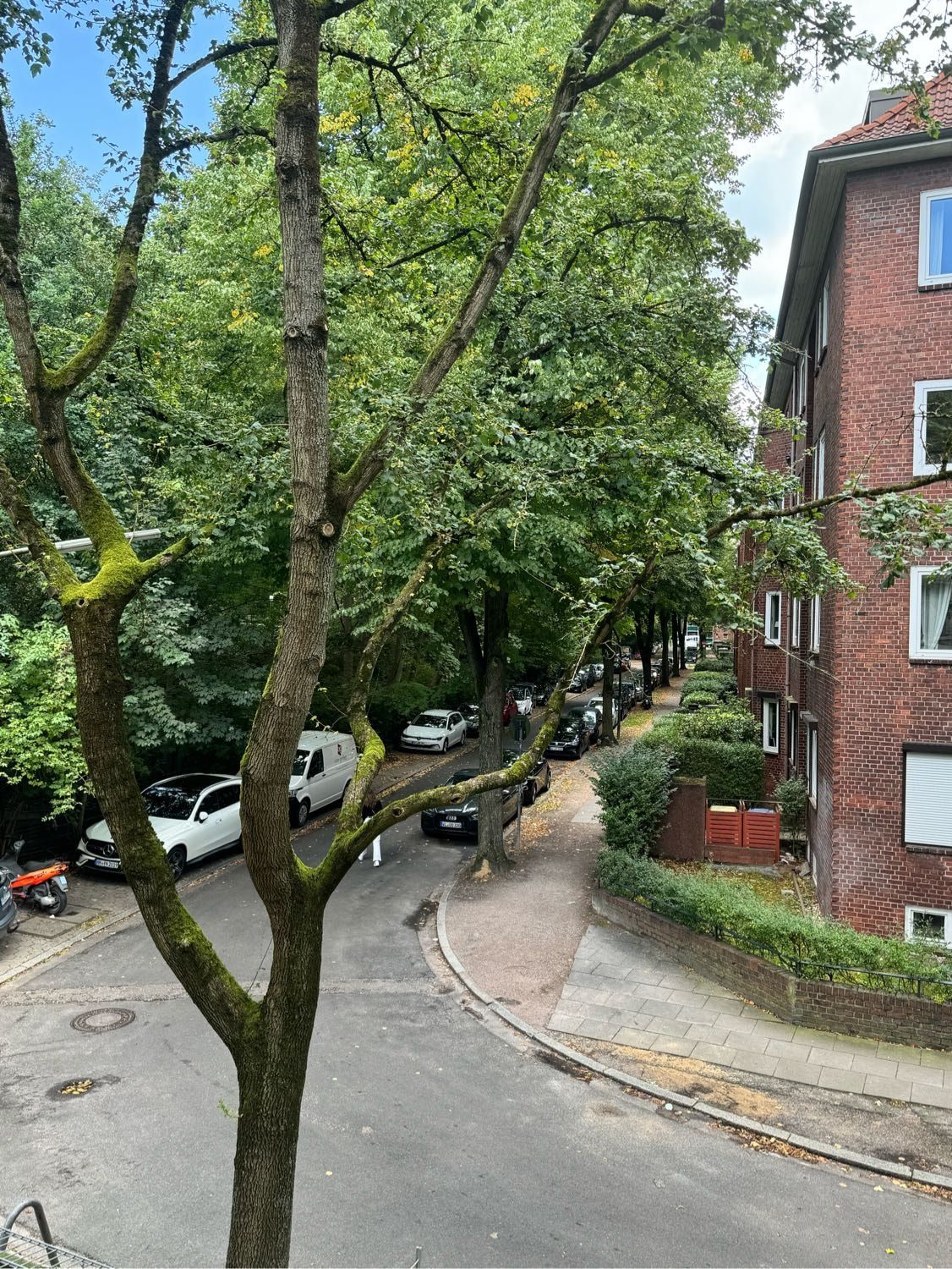 image-16