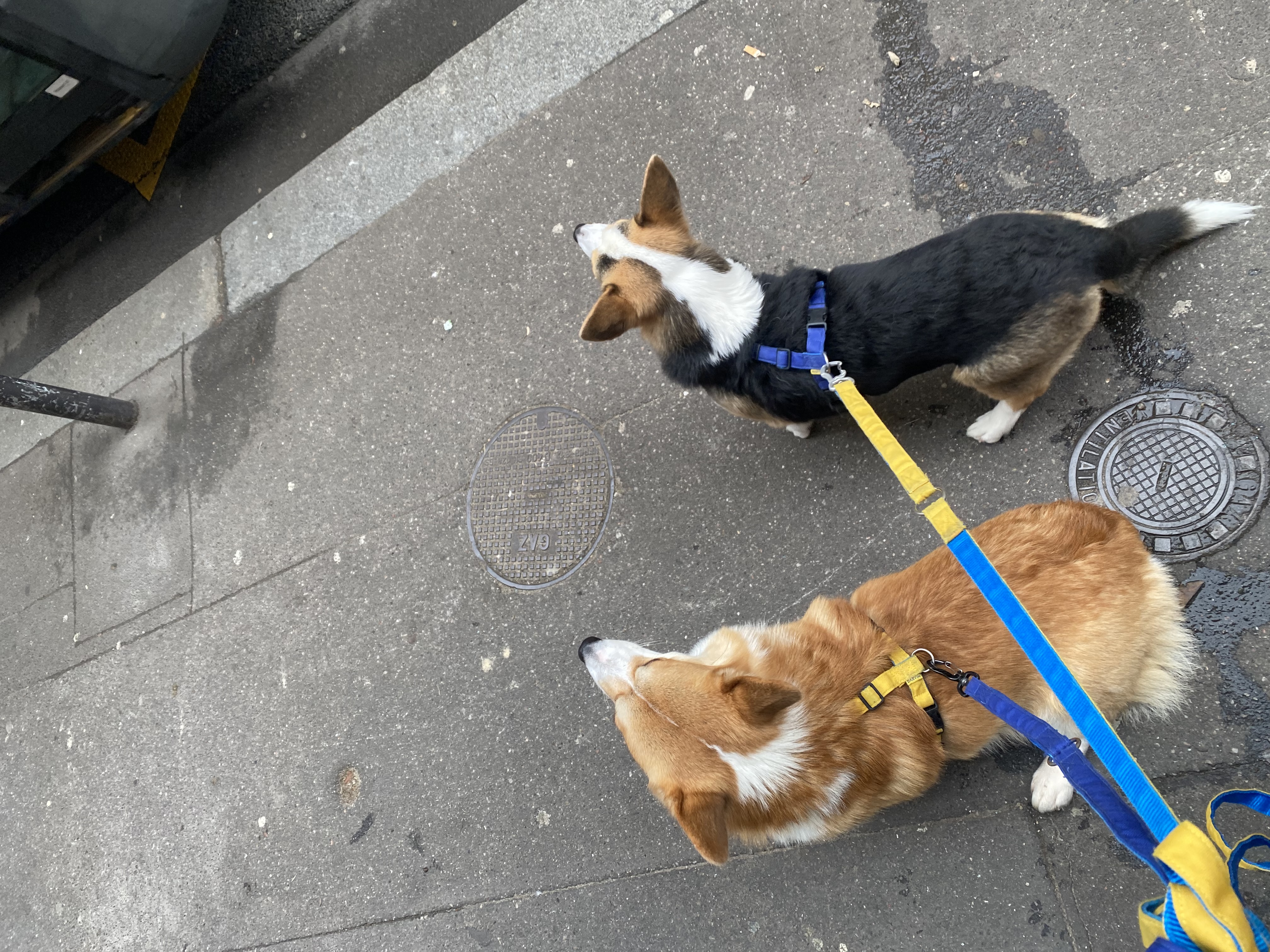image-13