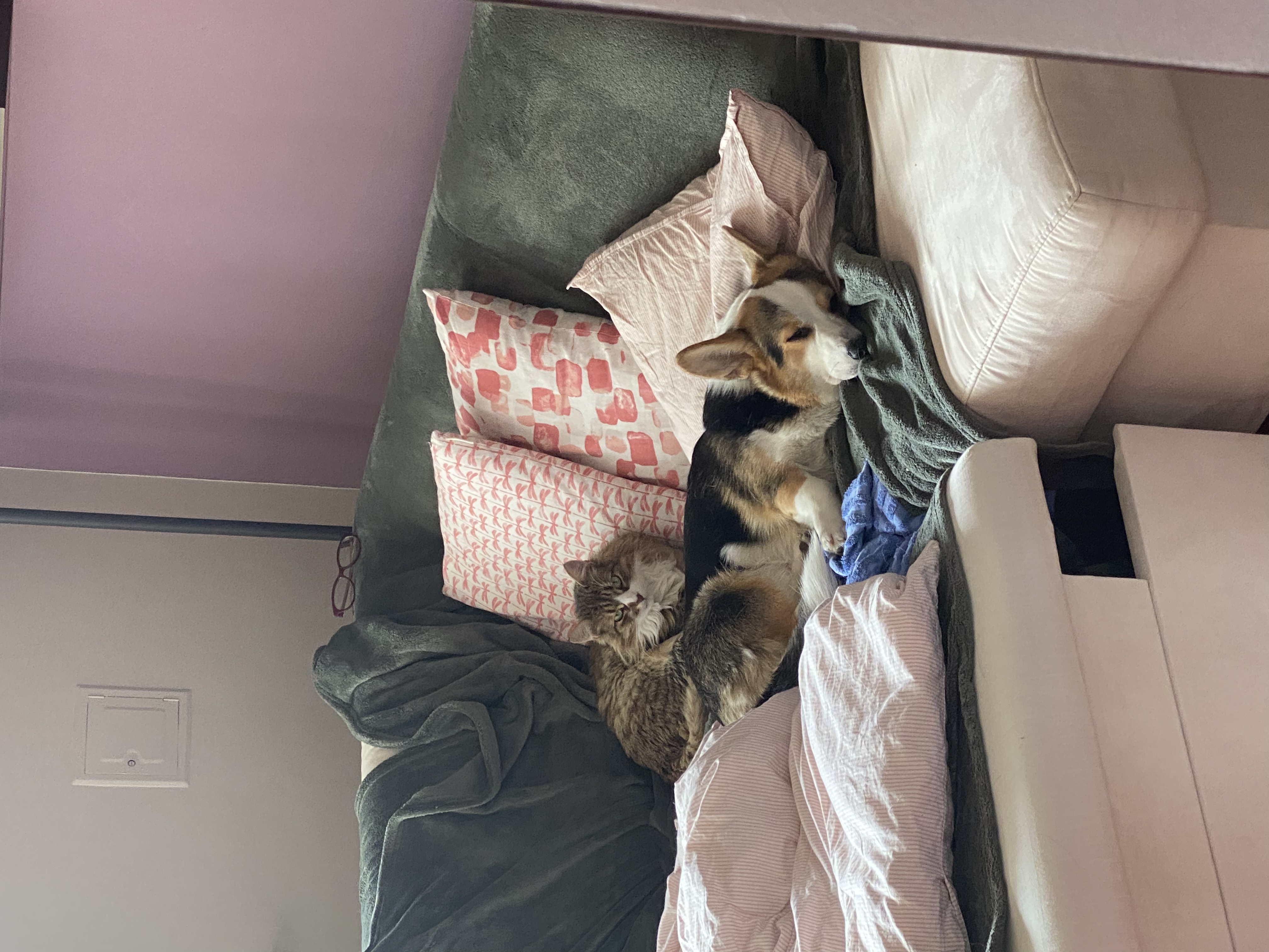 image-10