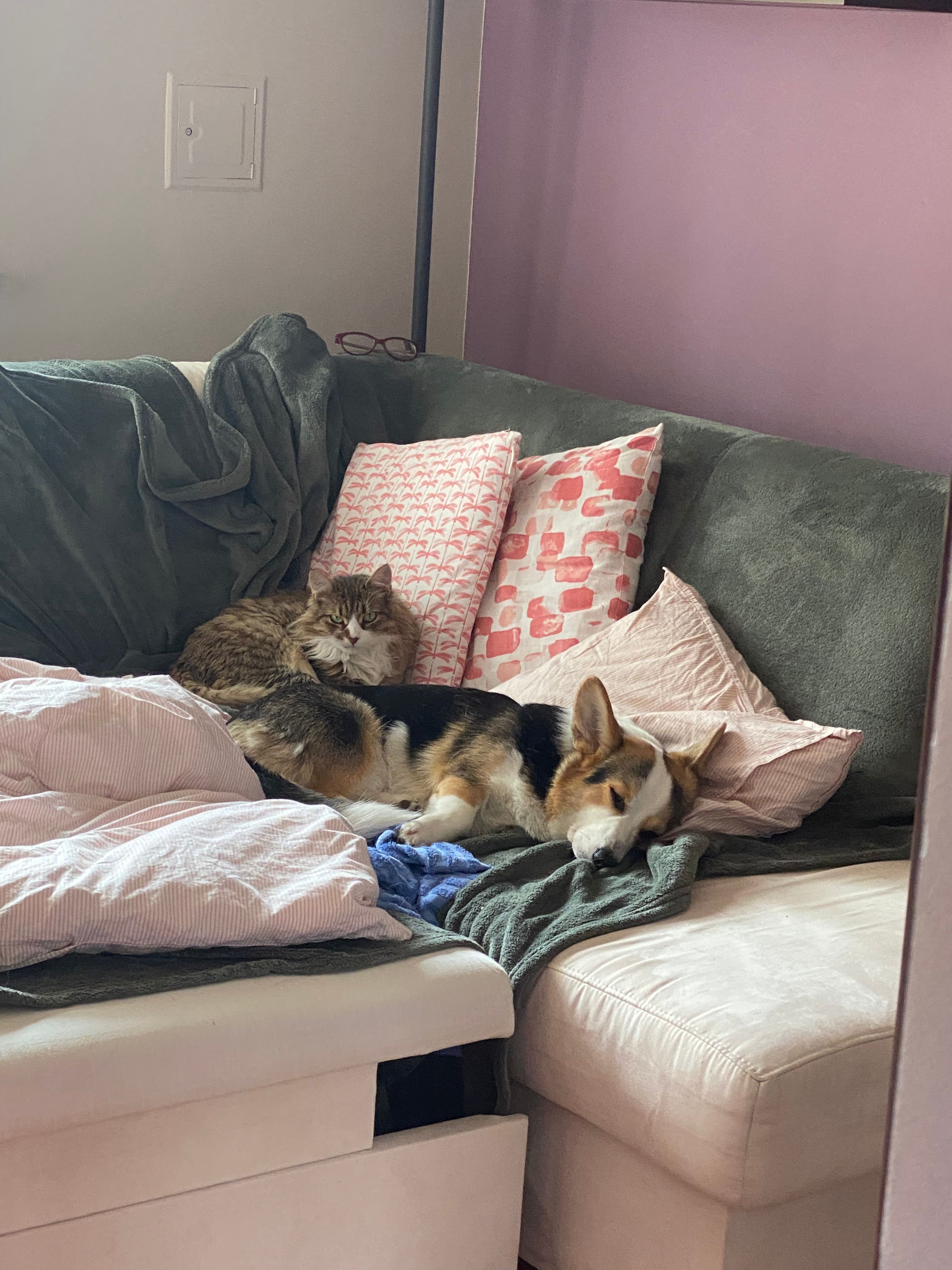 image-10