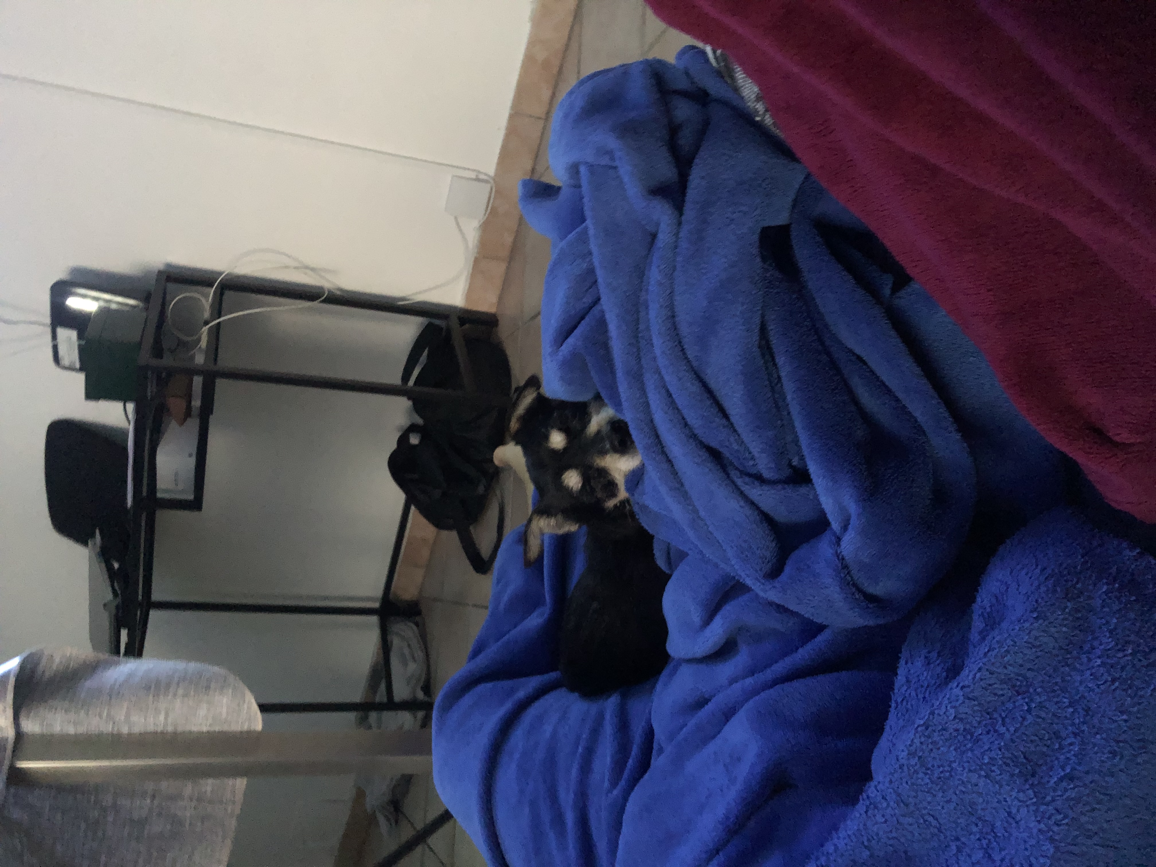 image-5