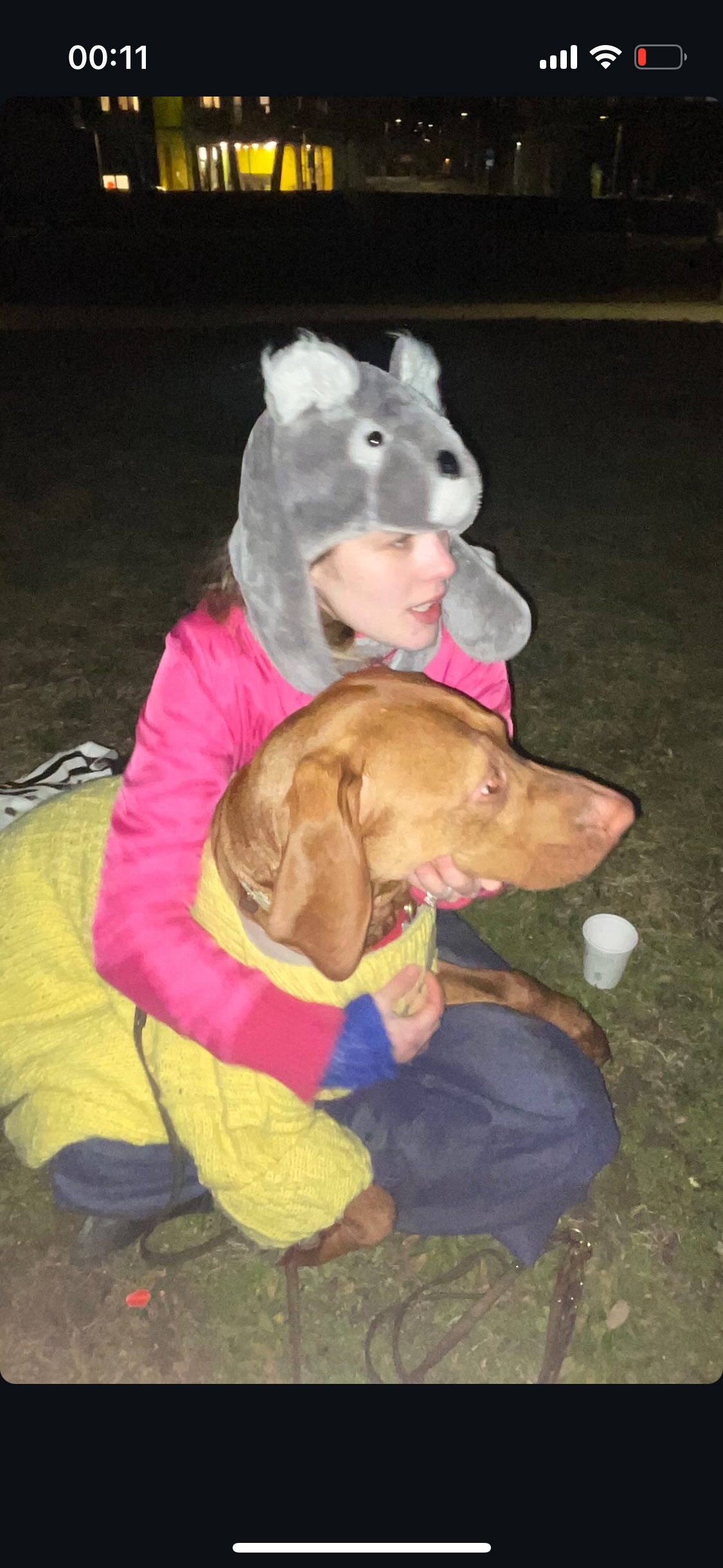 image-8