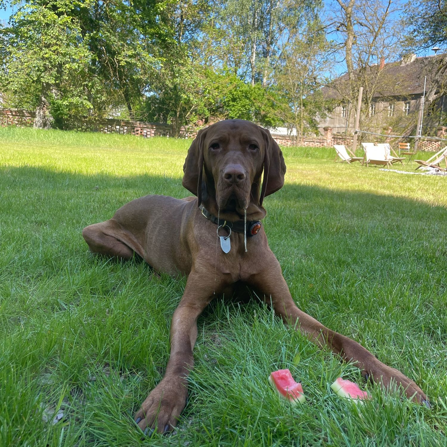 Django