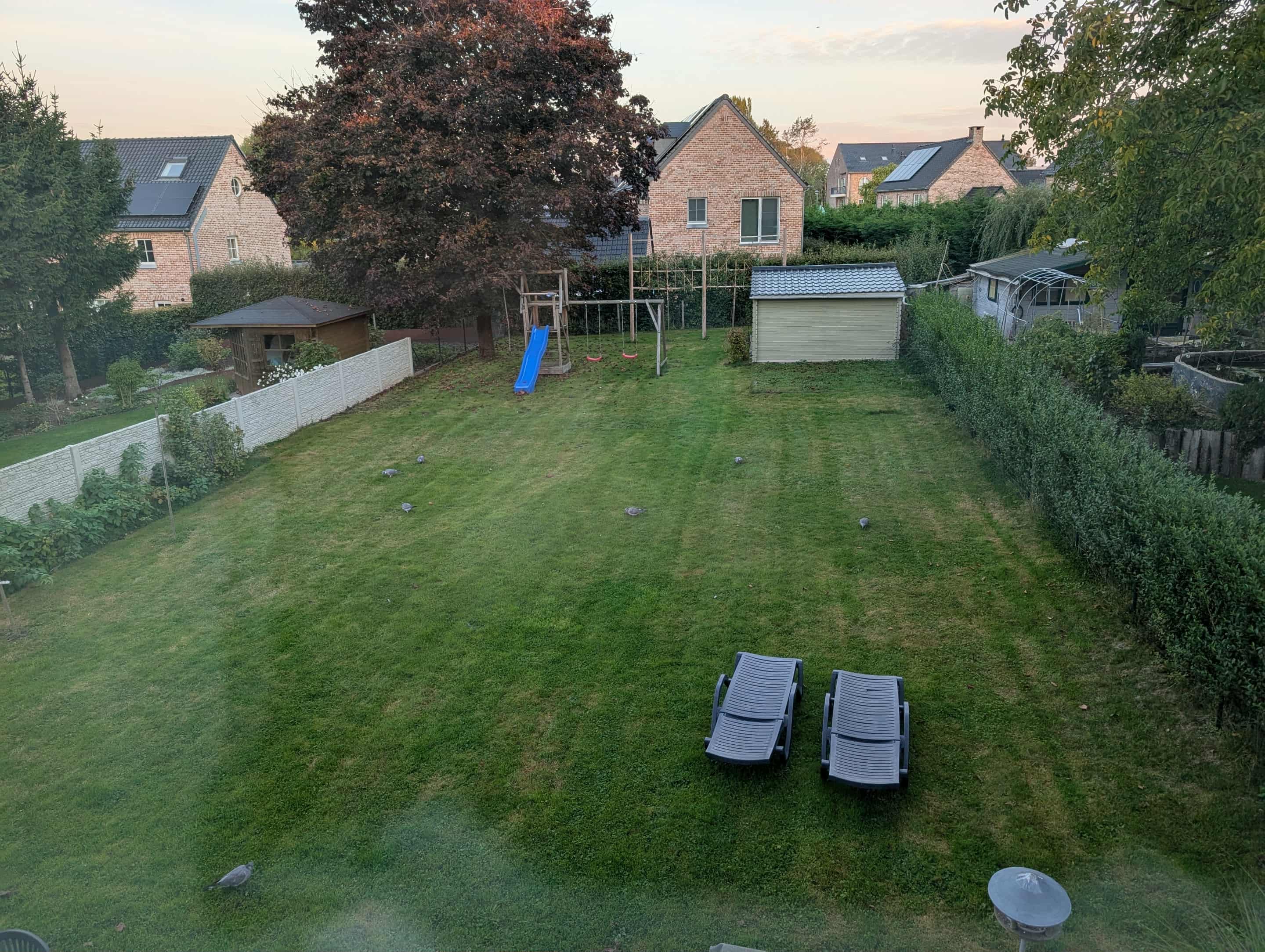 image-18