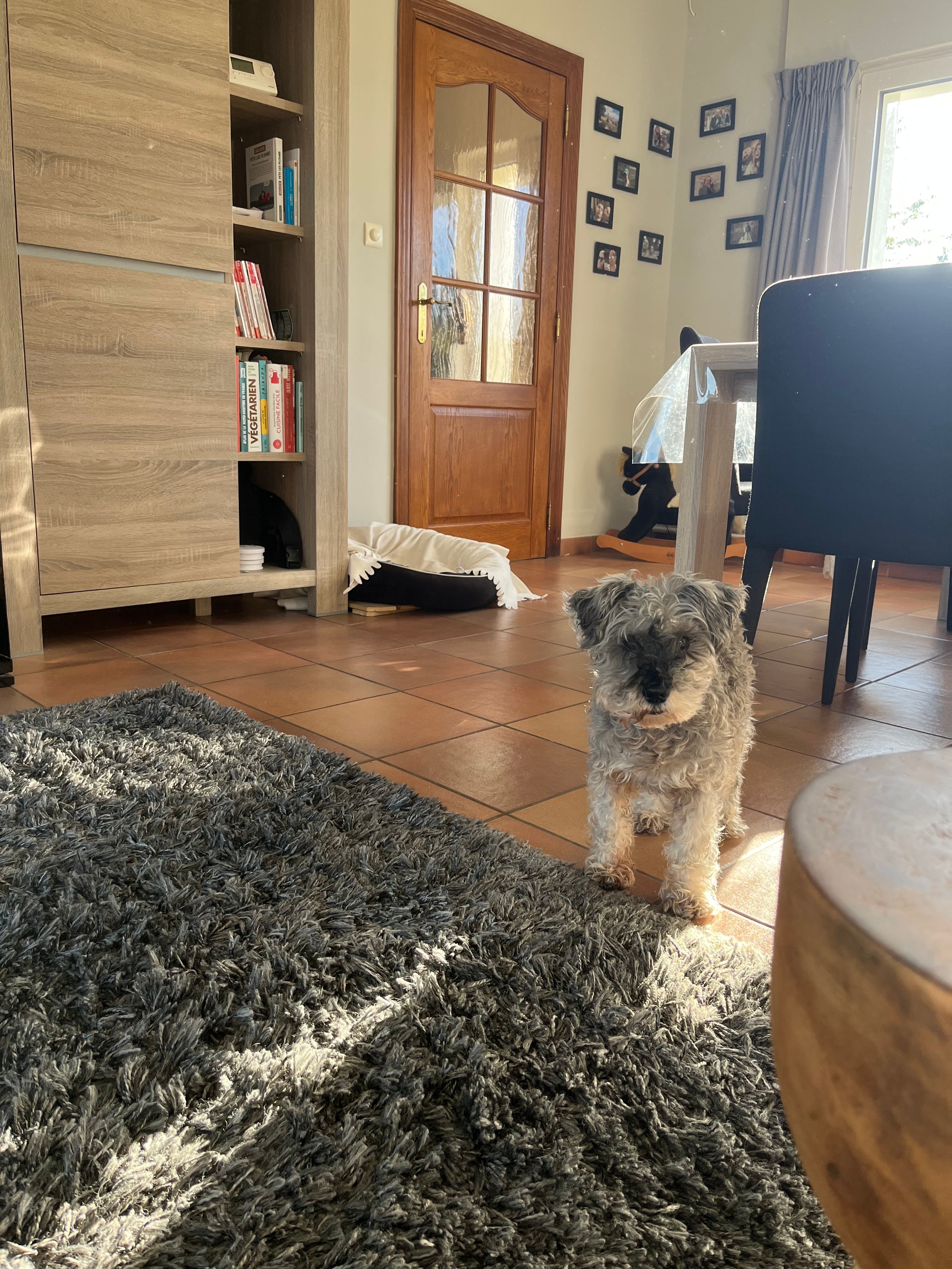 image-20