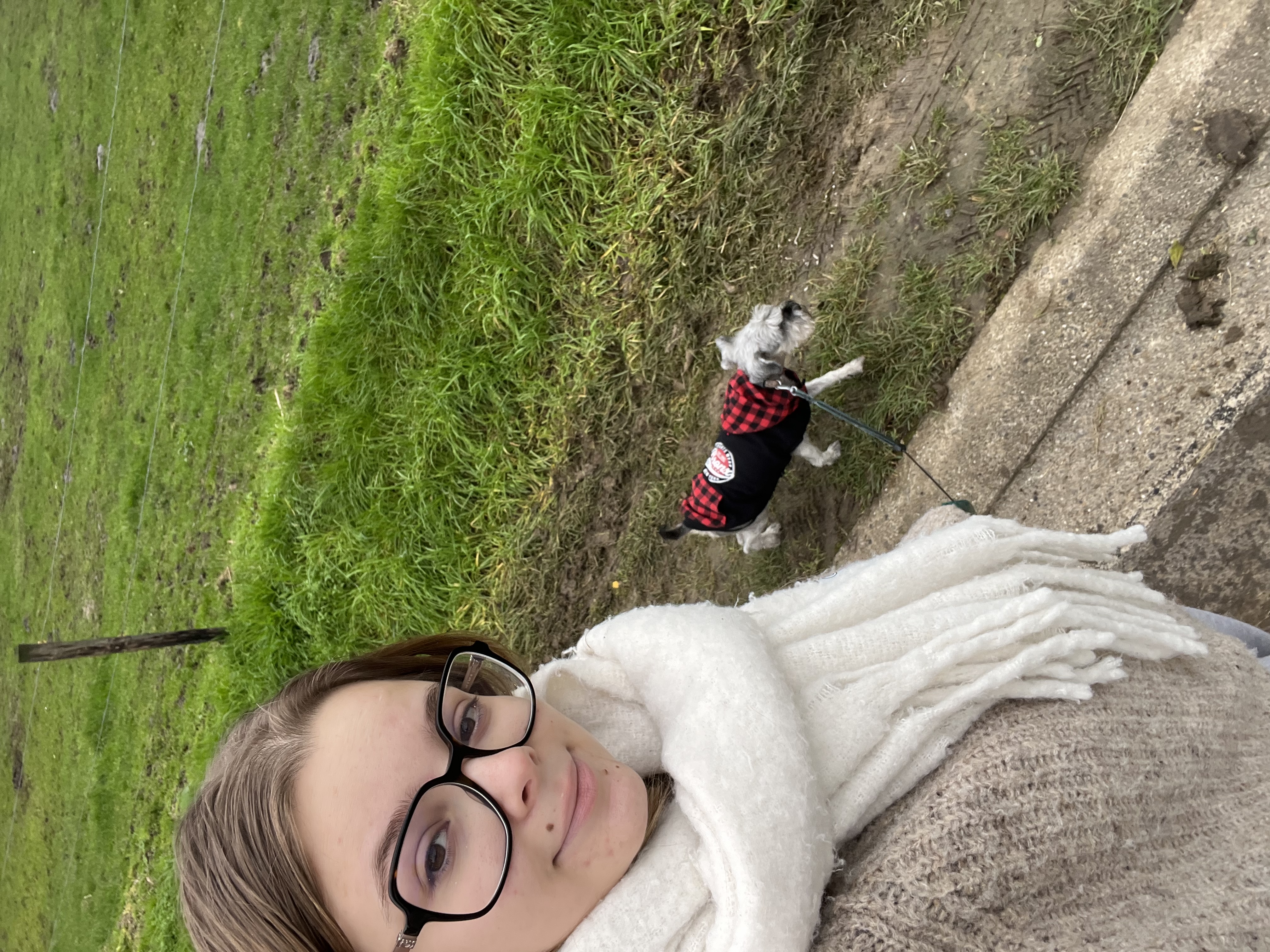 image-2