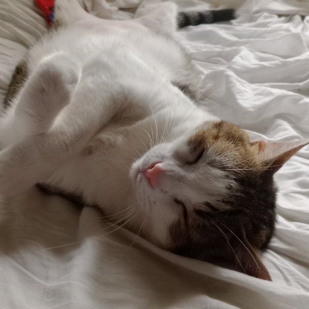 Mia