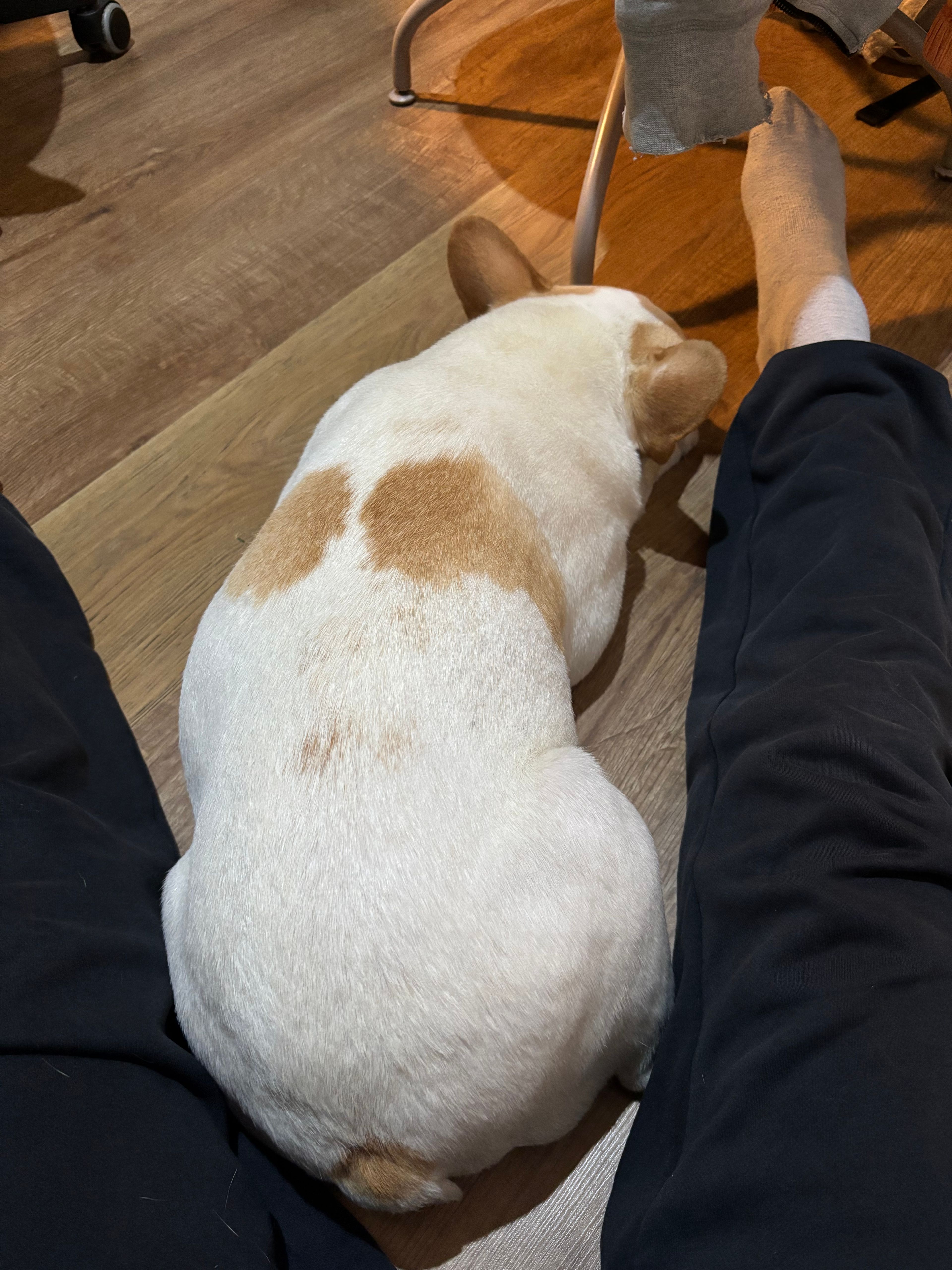 image-7