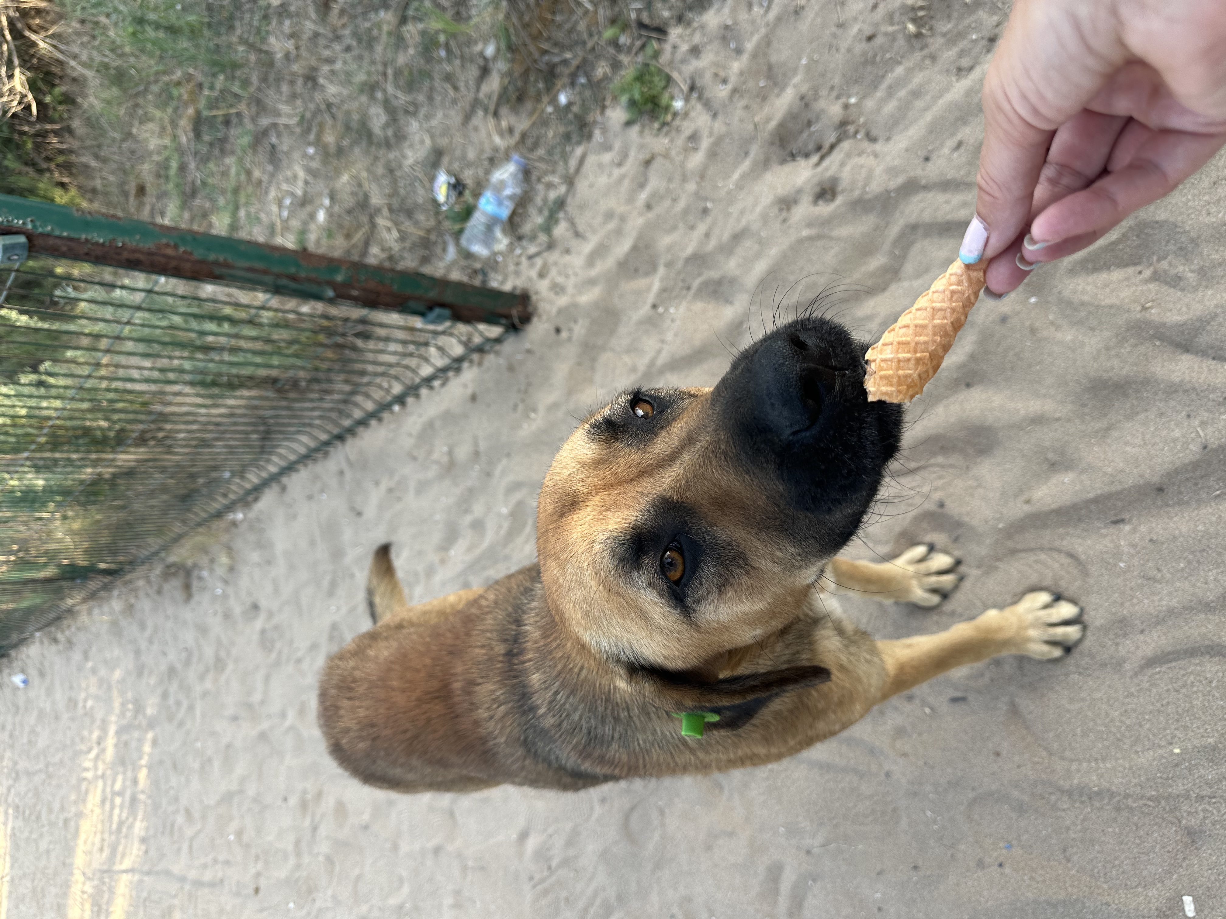 image-7