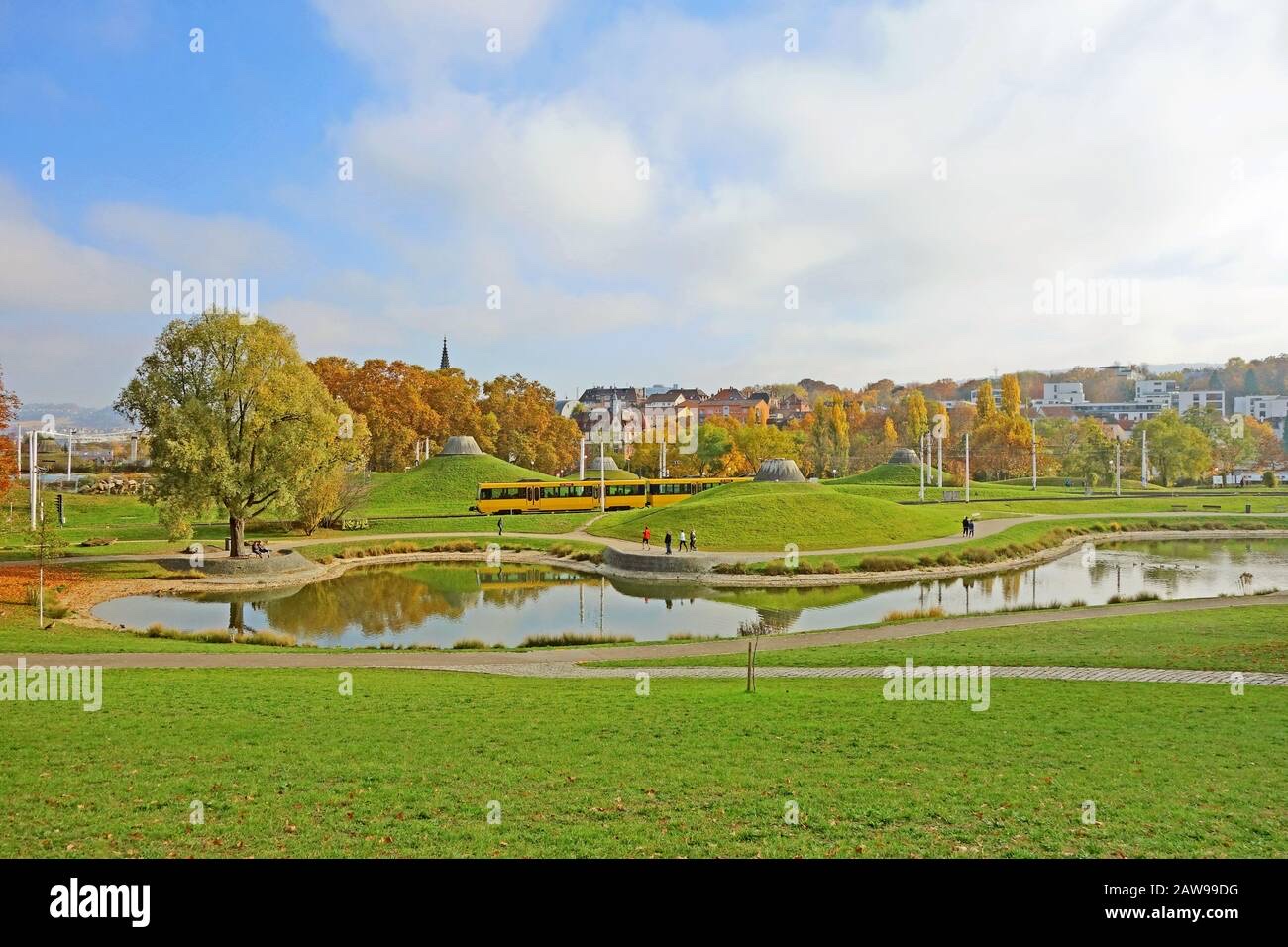 image-19