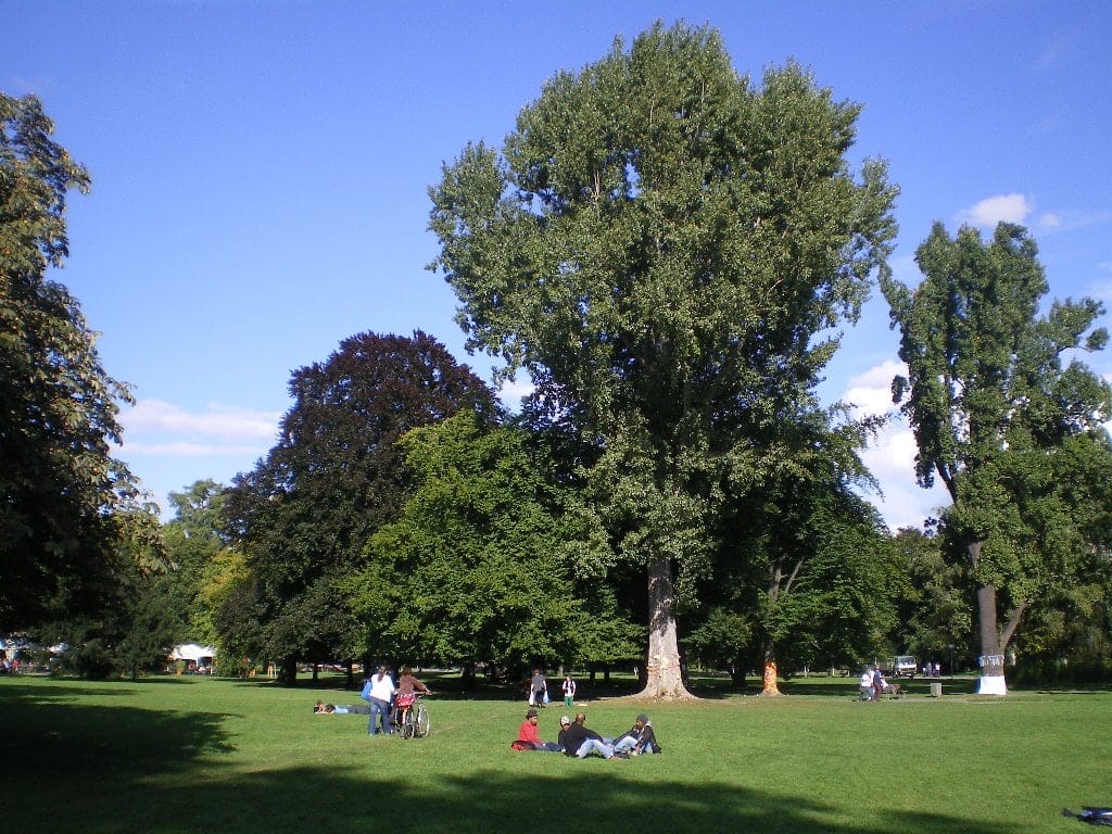 image-17