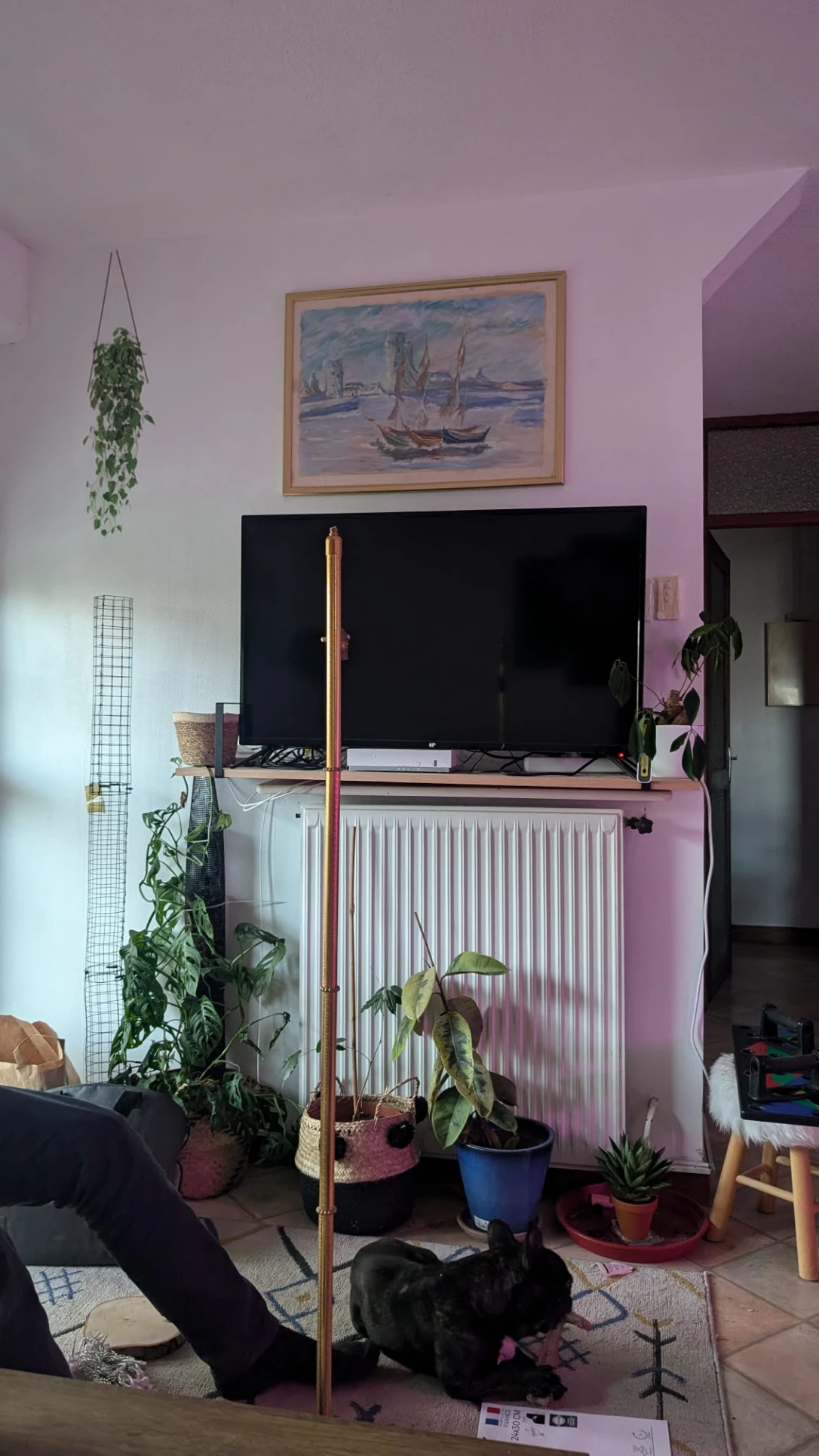 image-19