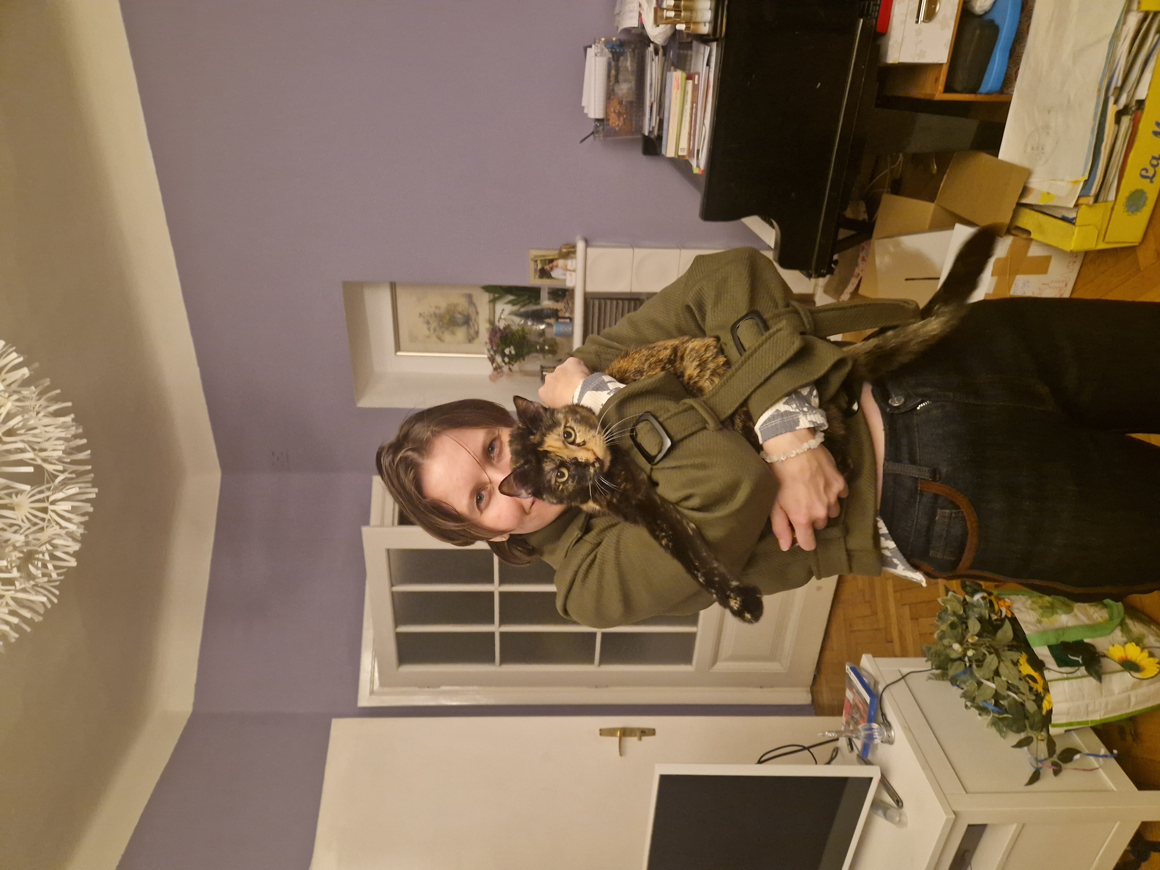 image-2