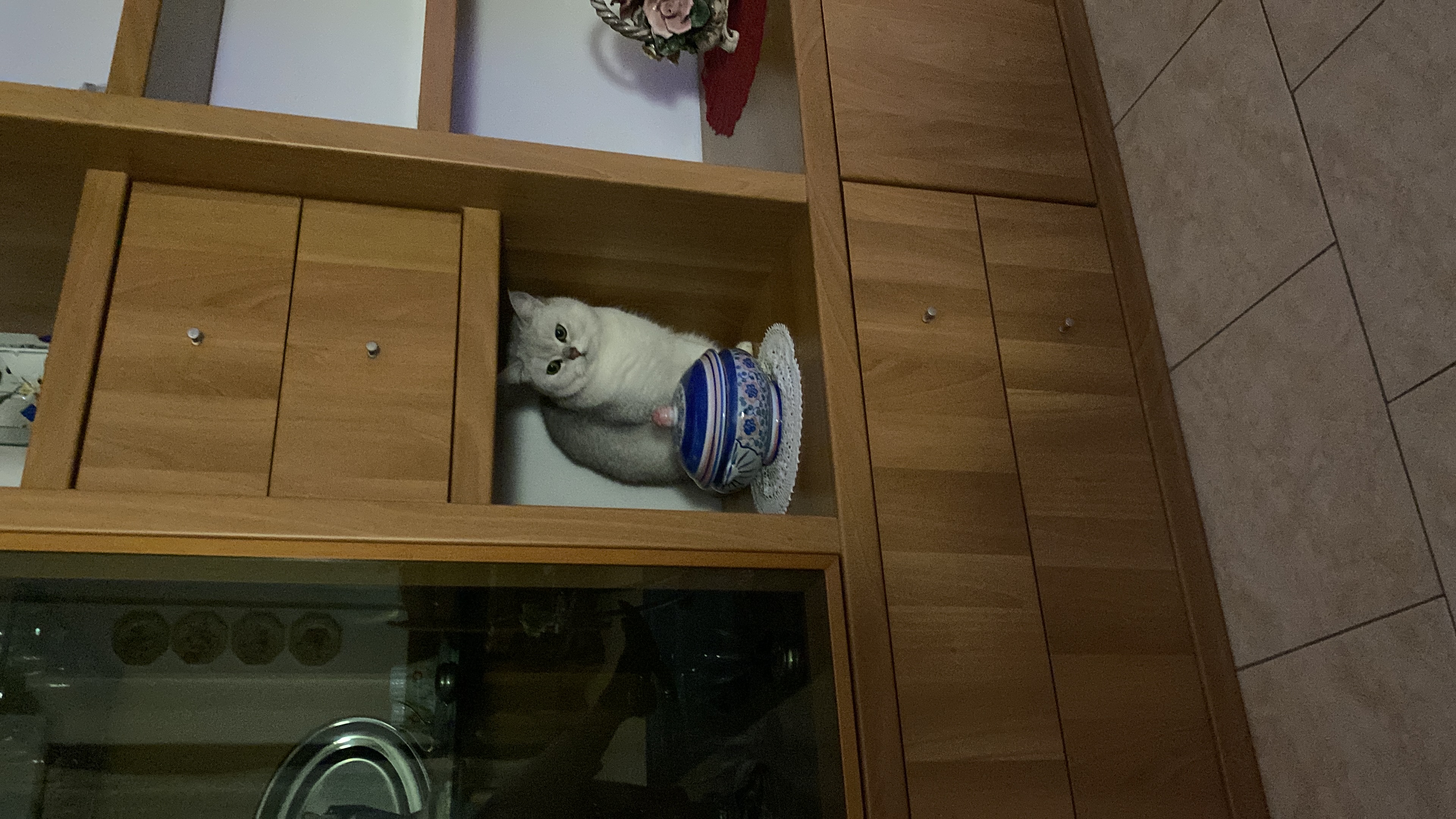 image-16