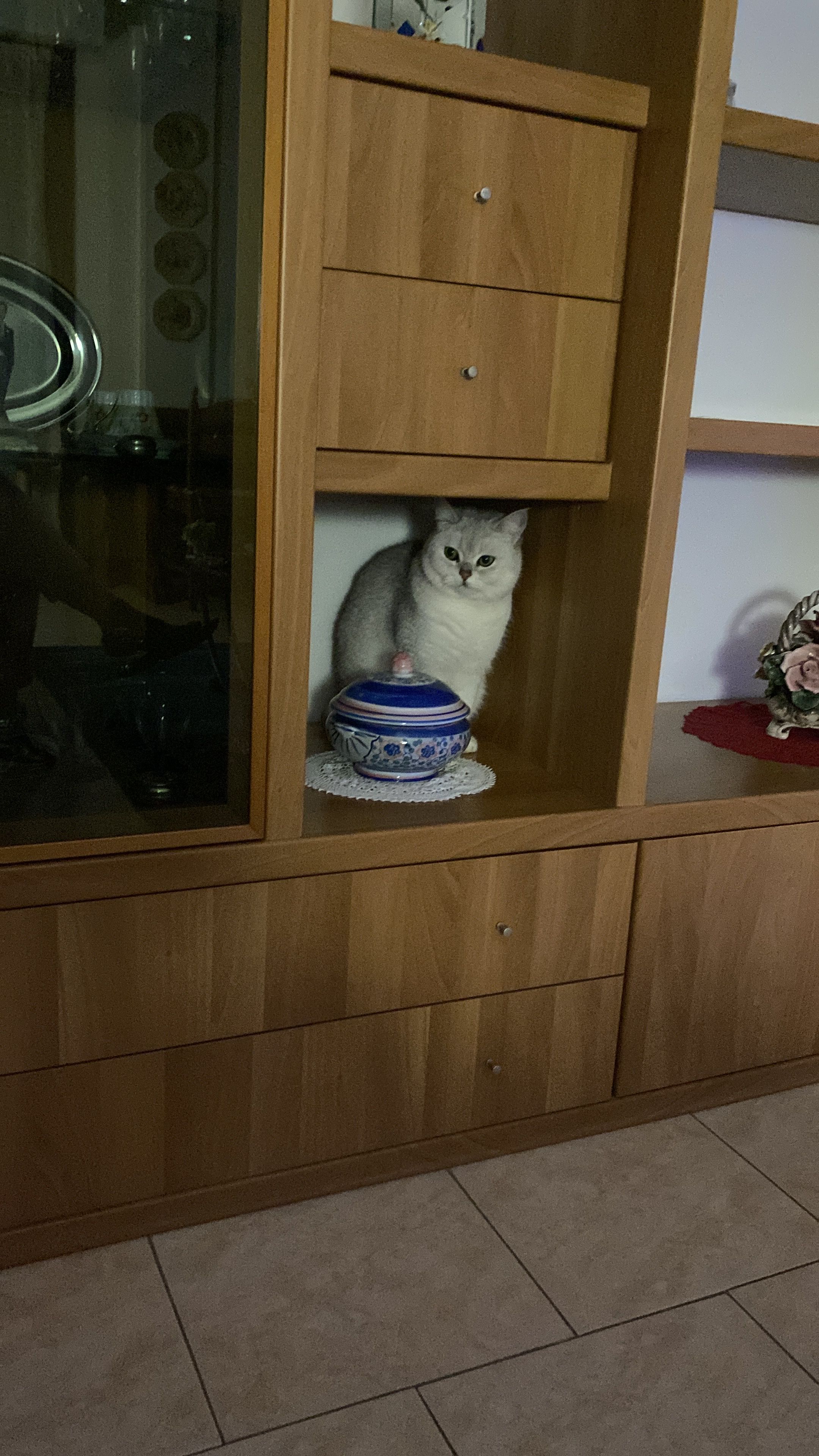 image-16