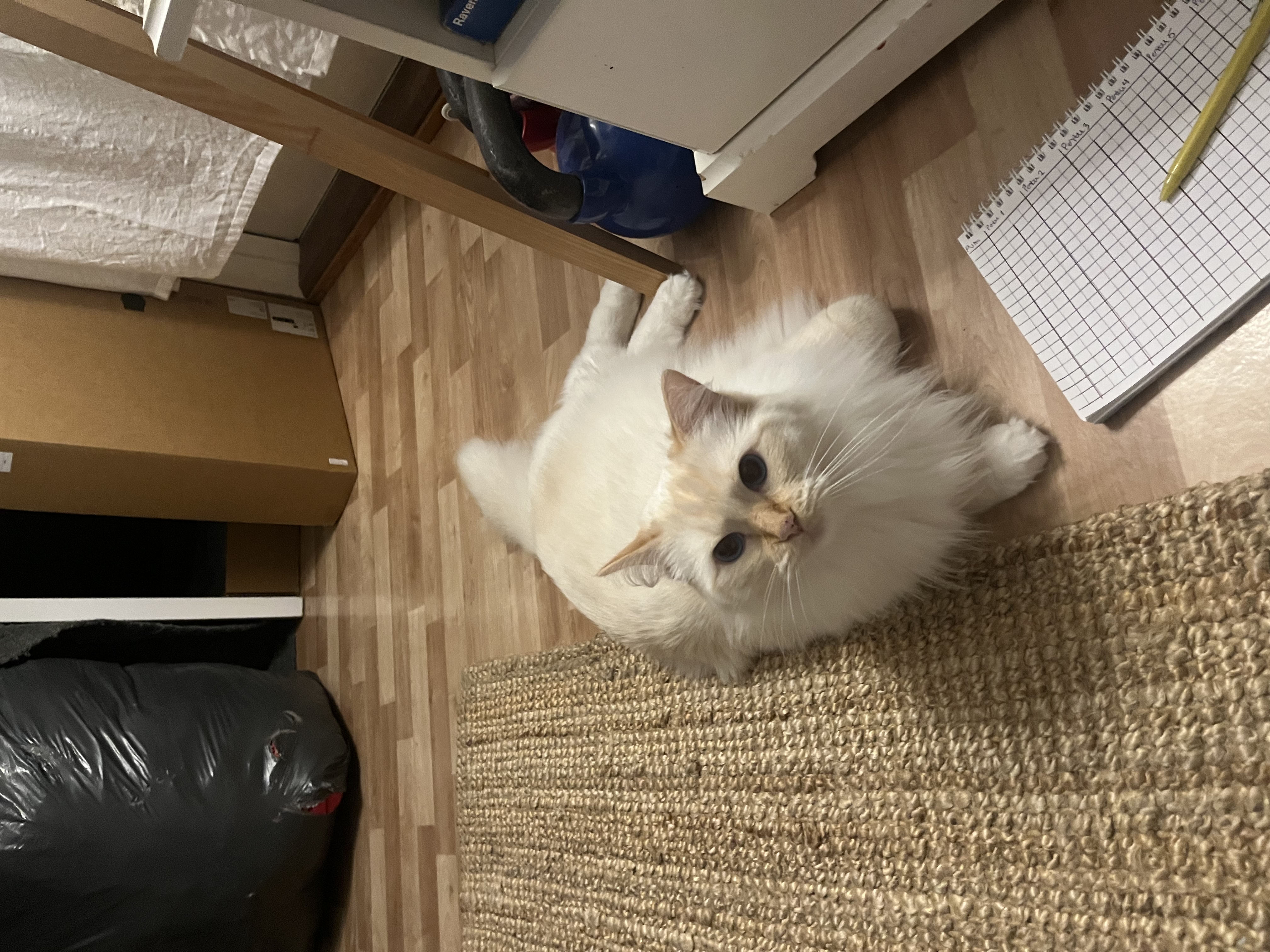 image-3