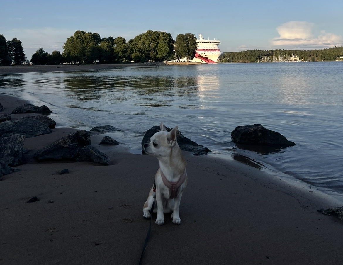 image-6