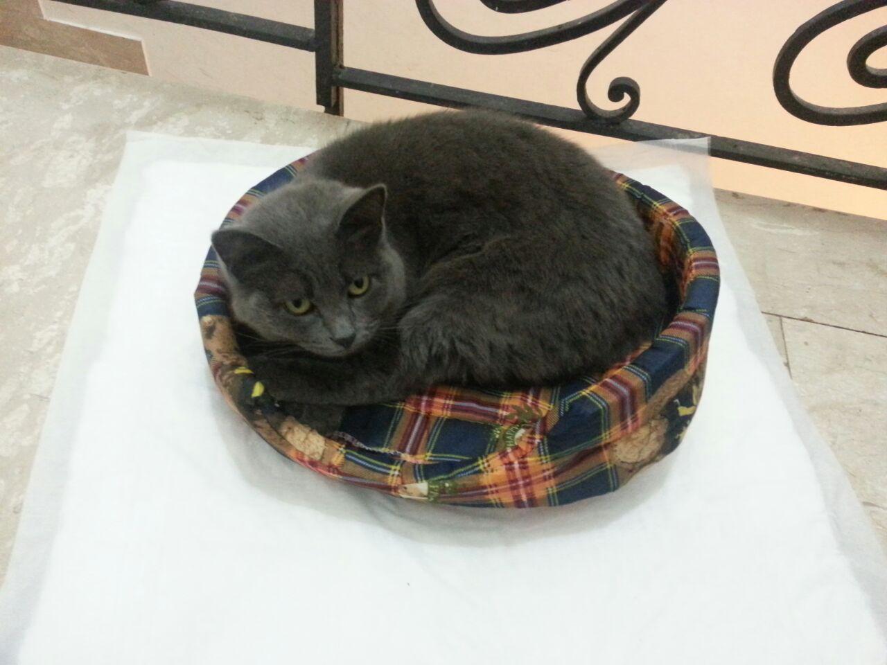image-12