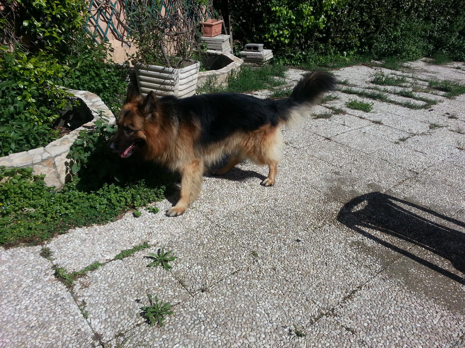 image-5