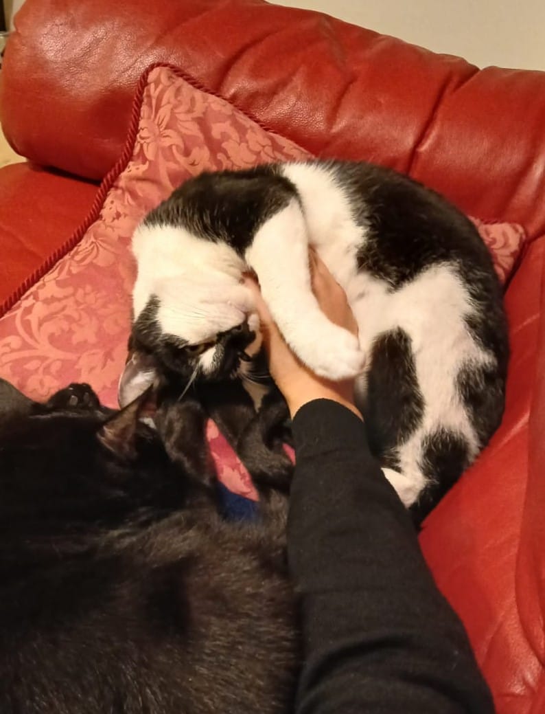 image-5