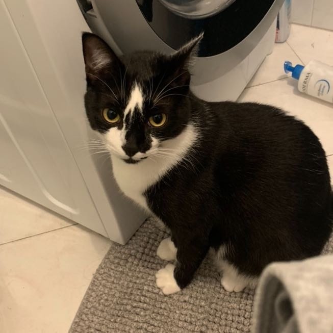 Ciro
