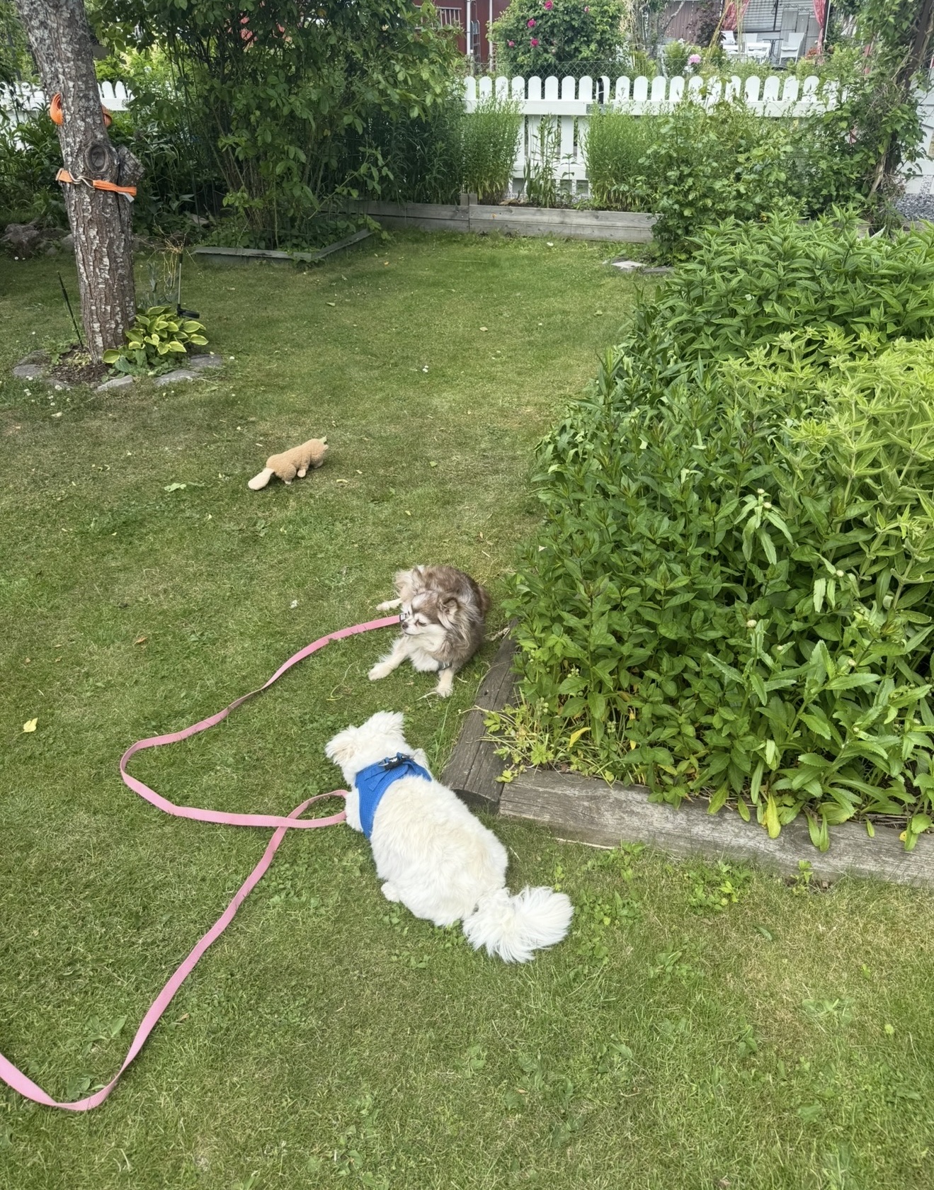 image-2