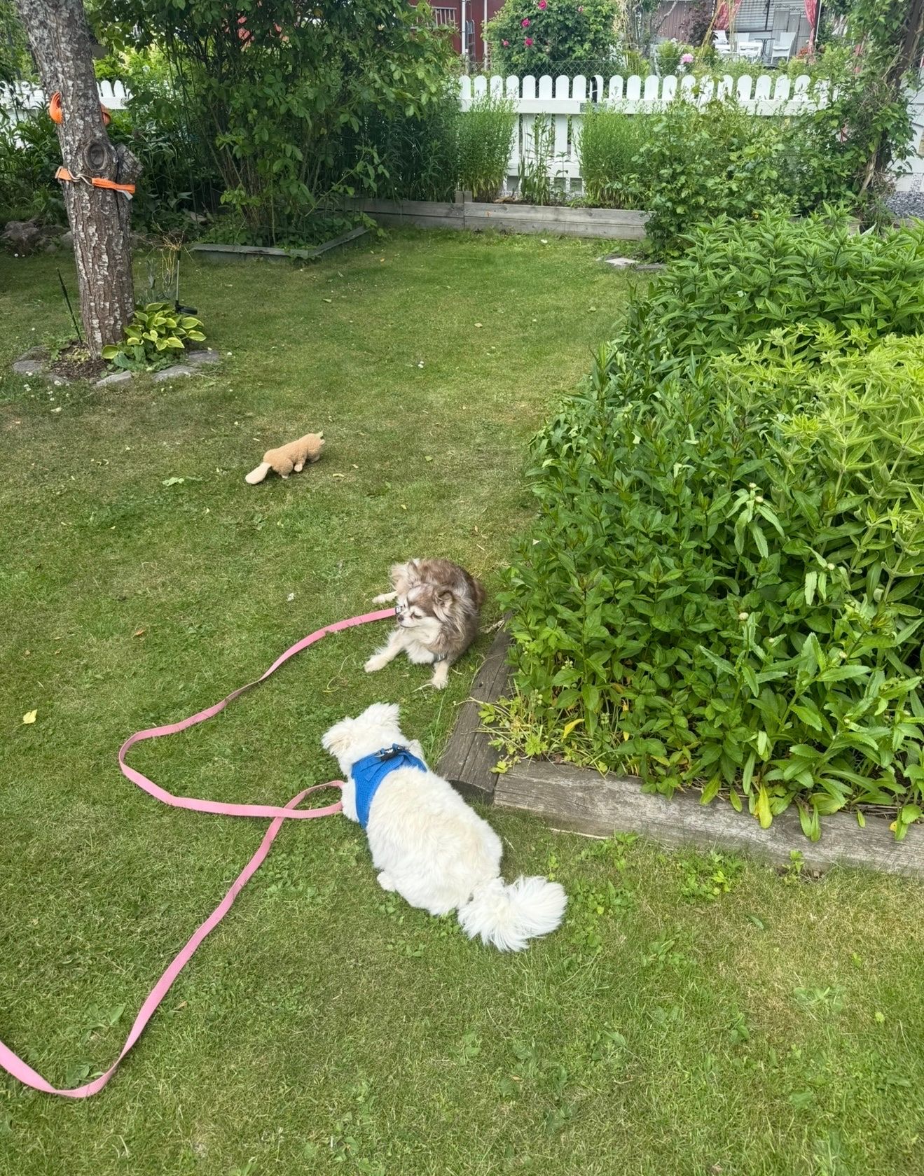 image-2