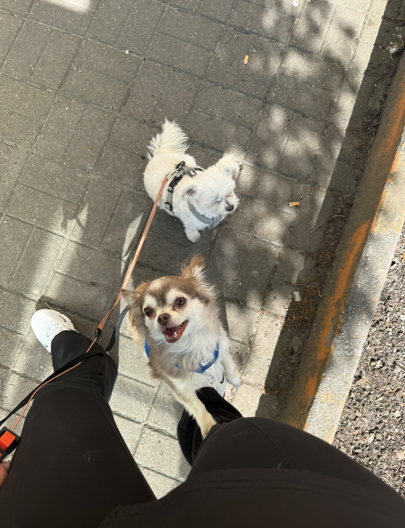 image-10