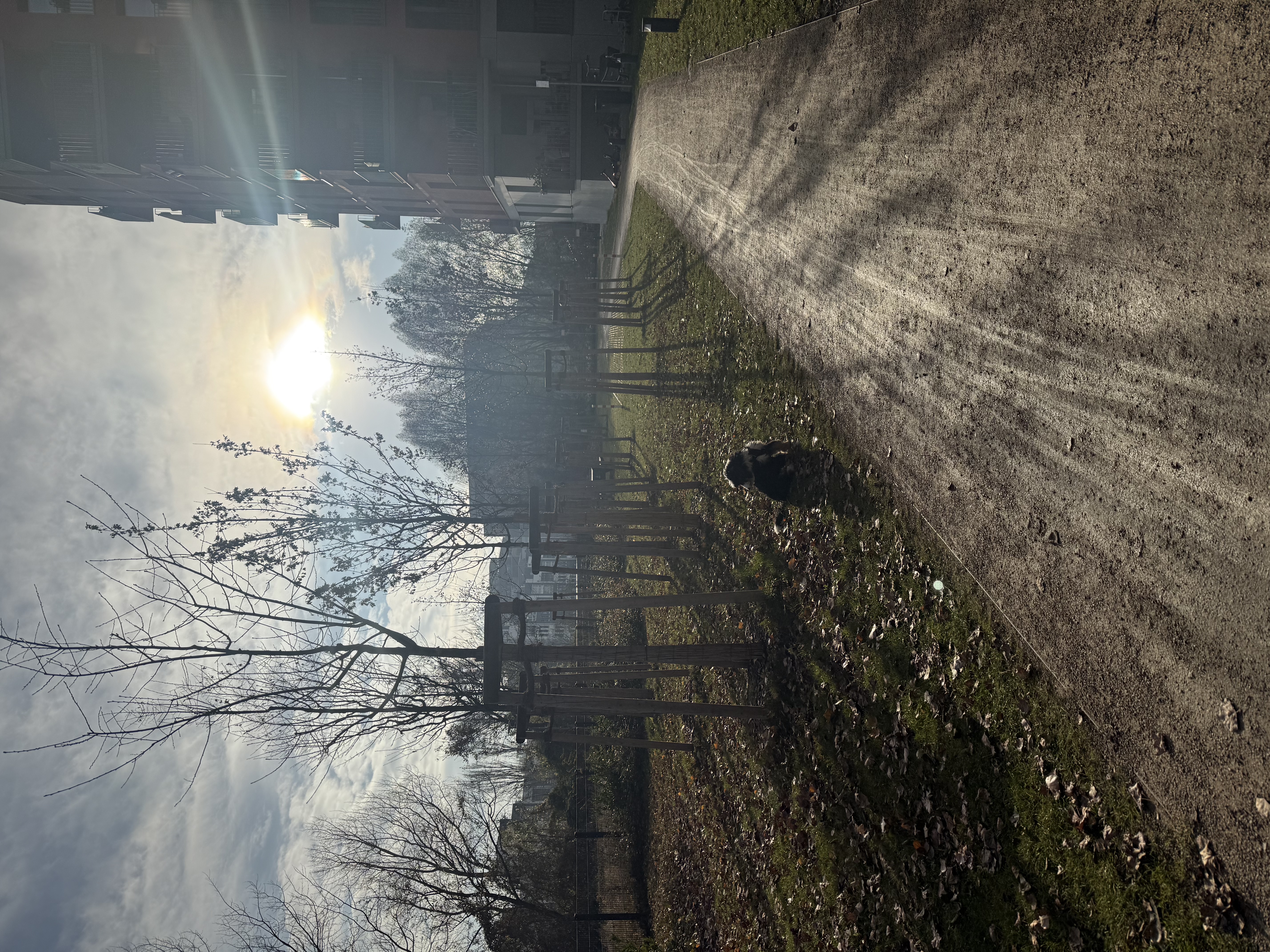 image-16