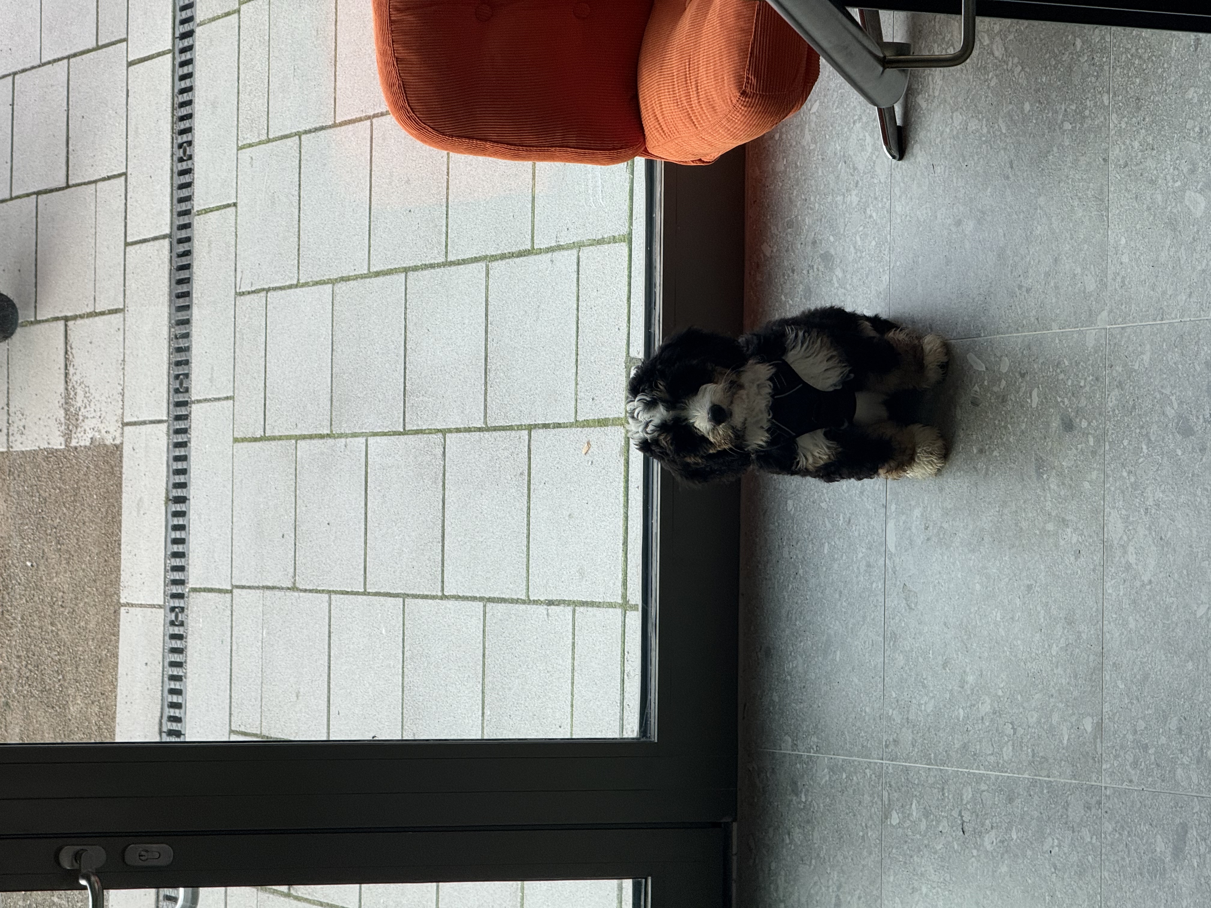 image-17
