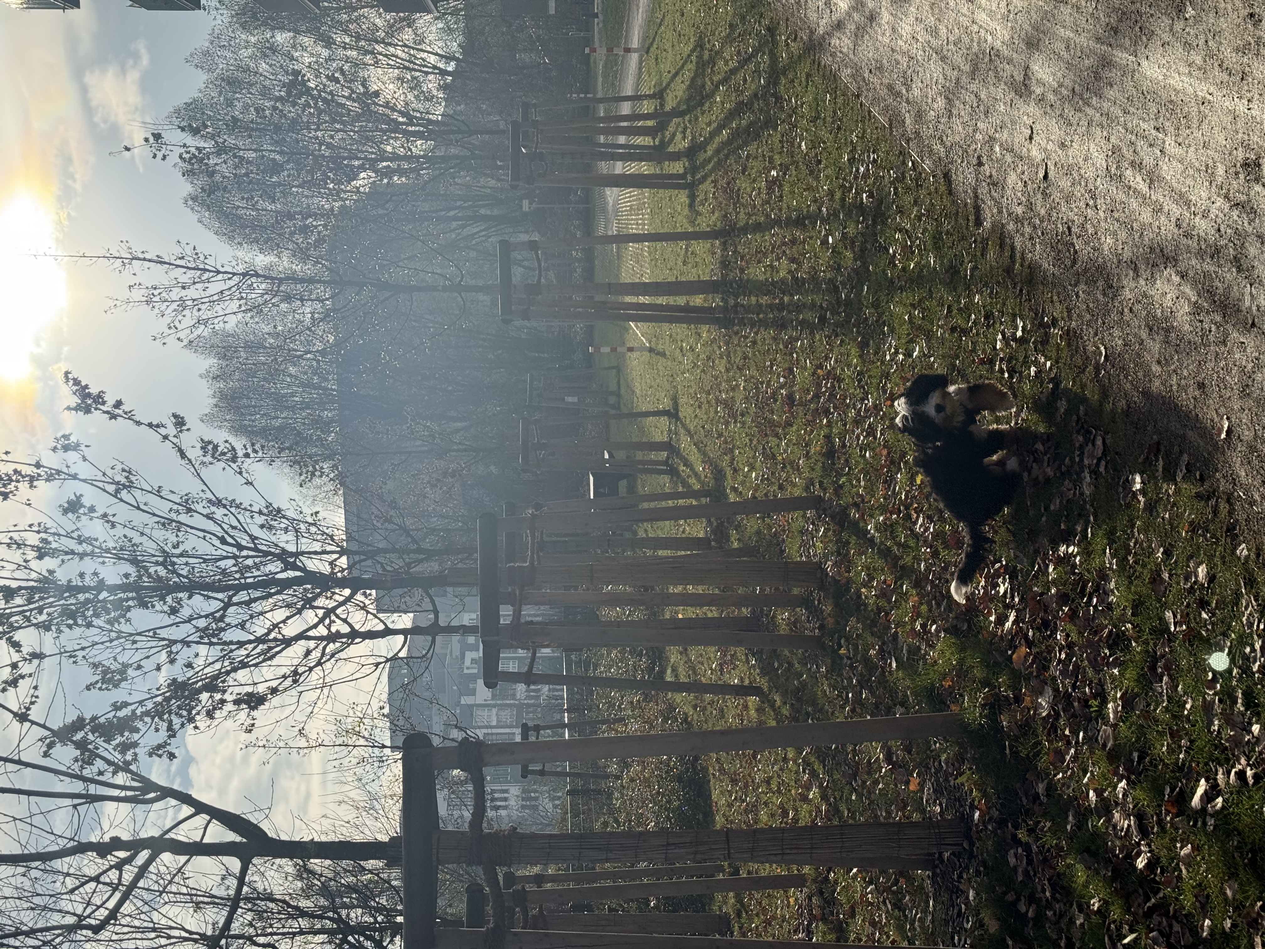 image-15