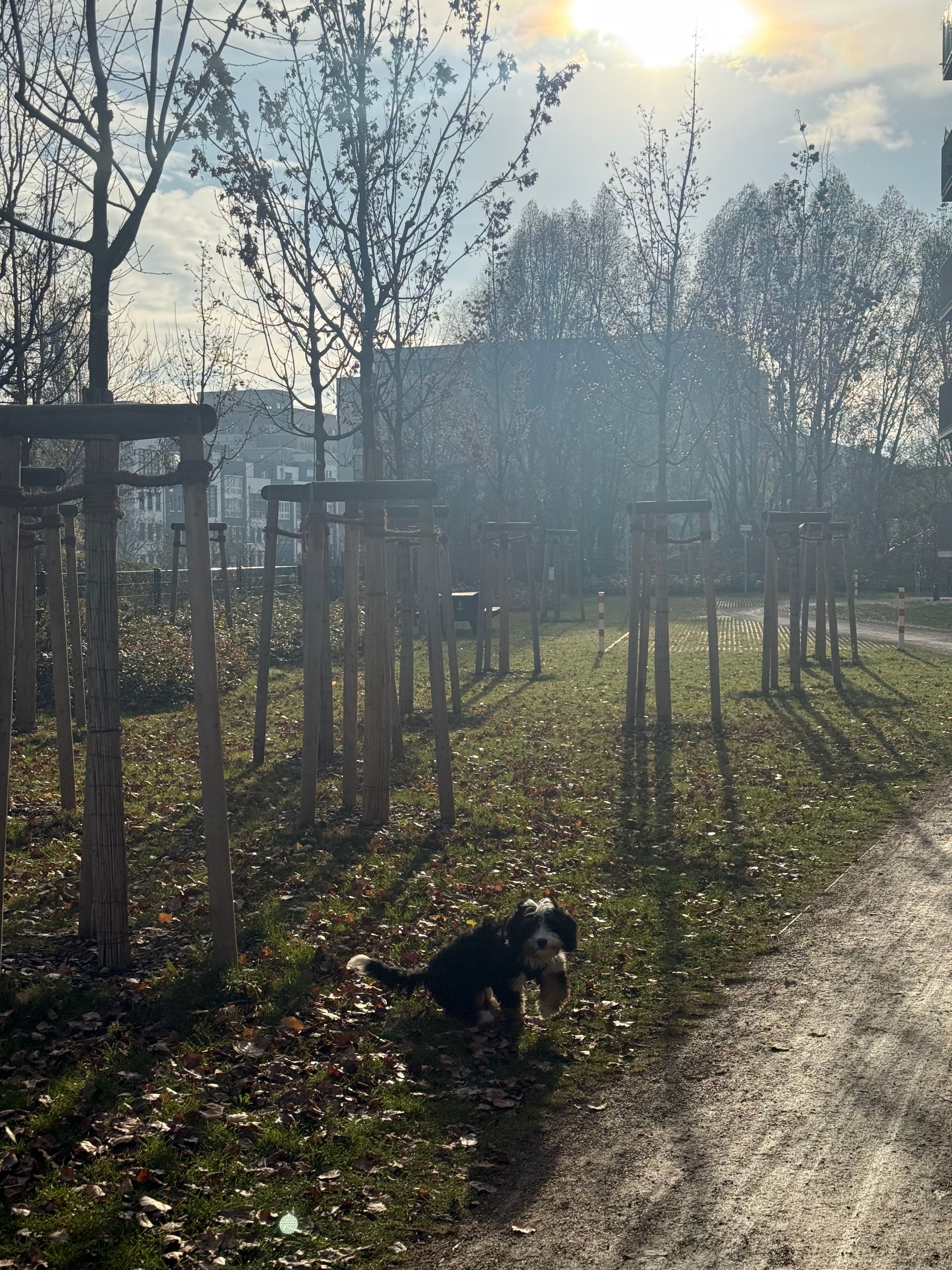 image-15