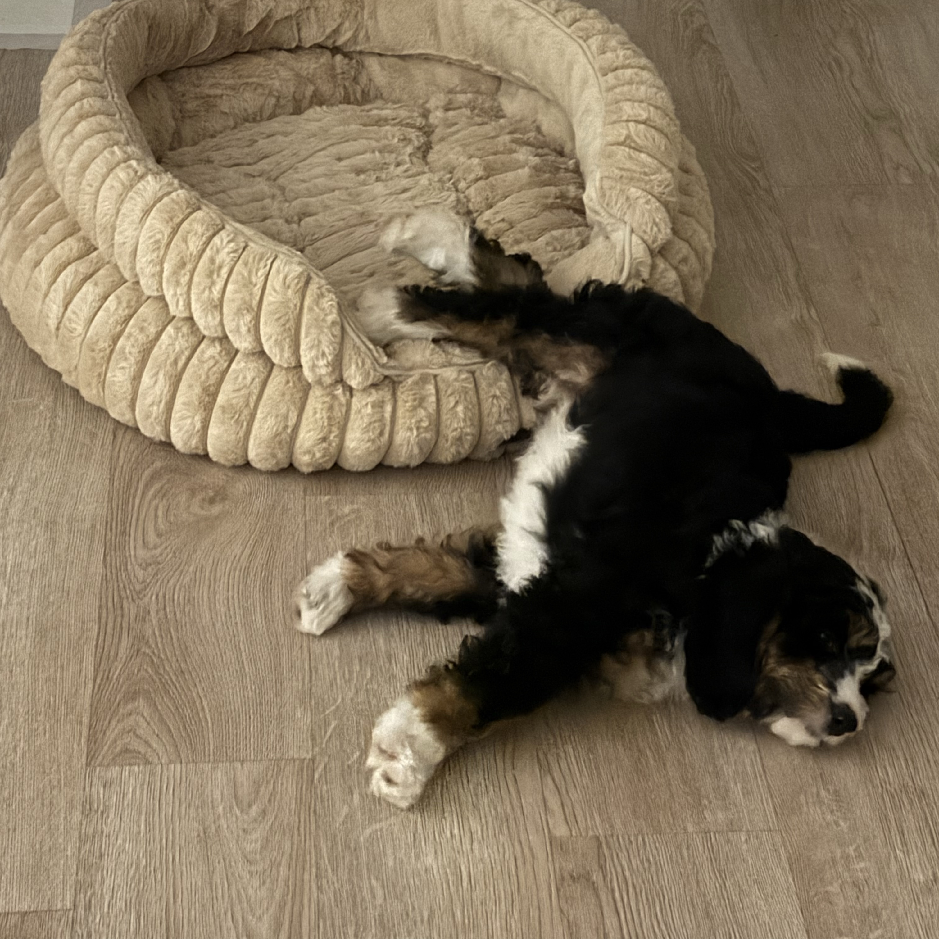Luna