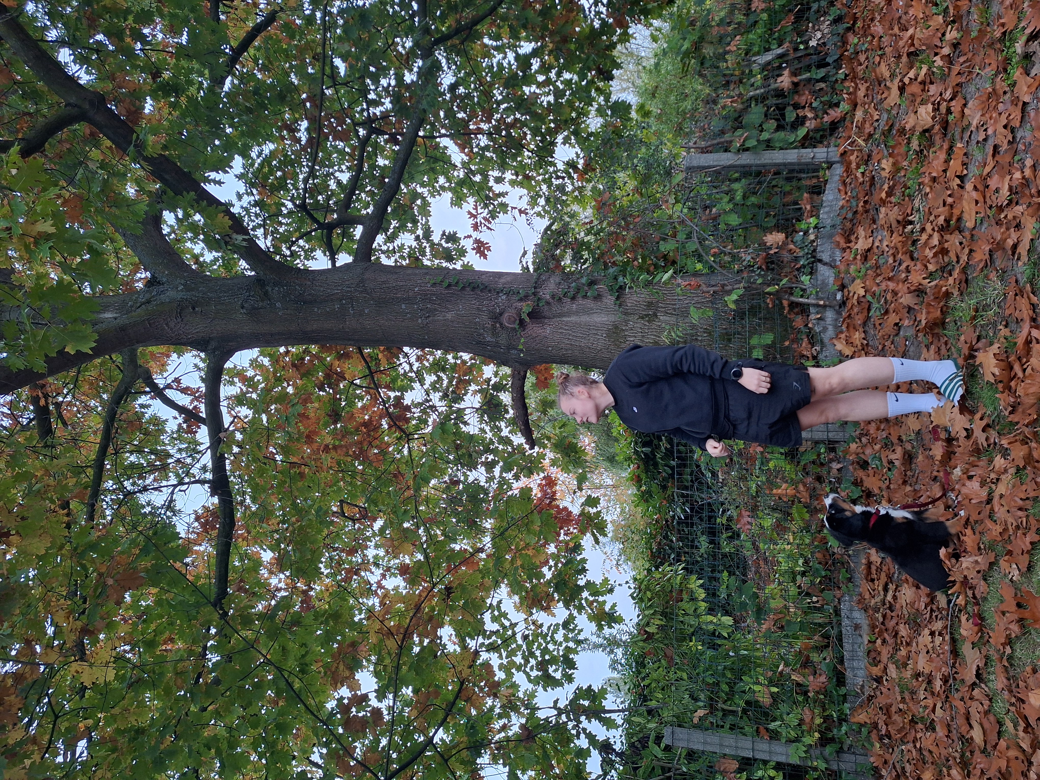 image-15