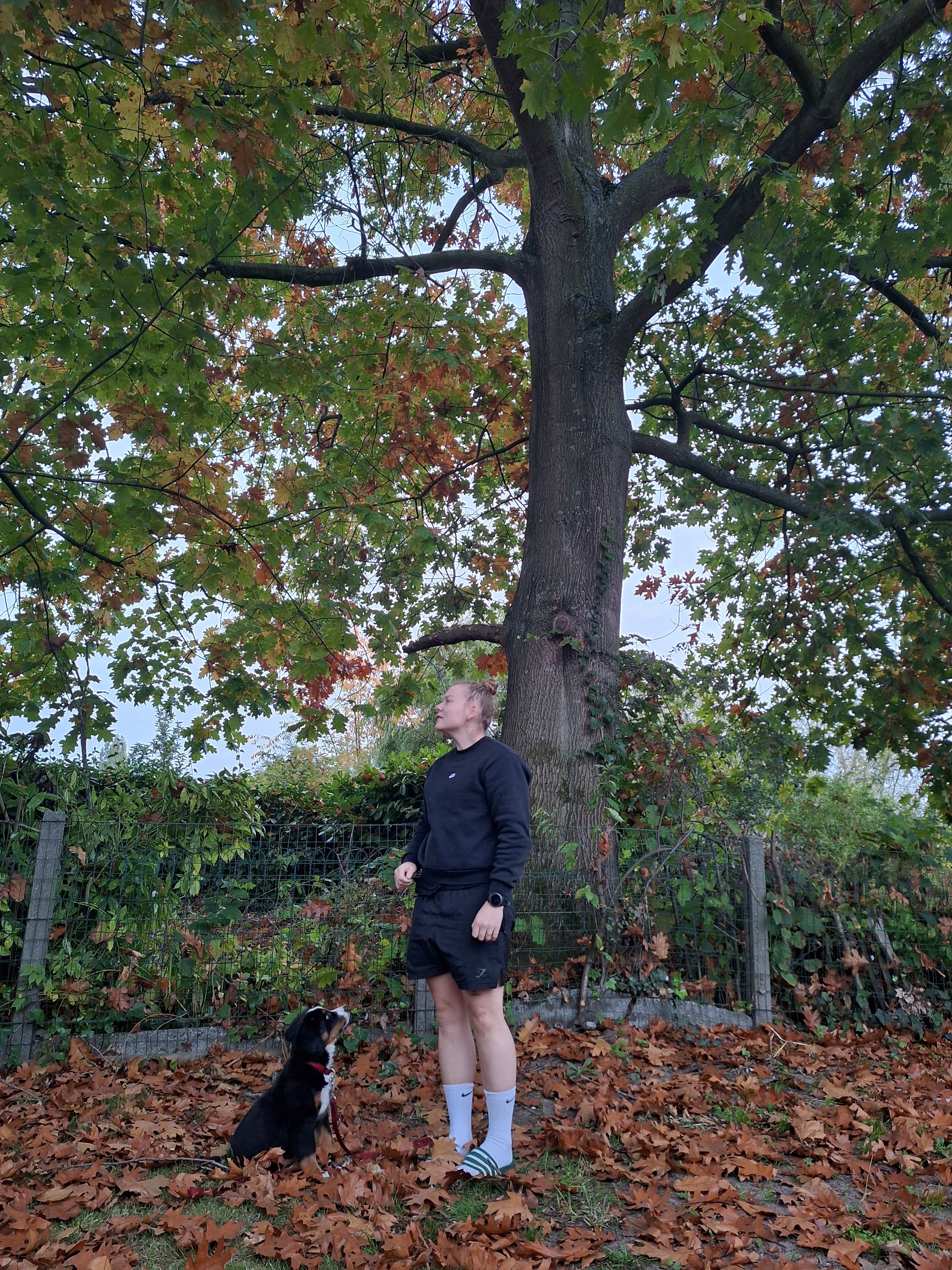 image-15