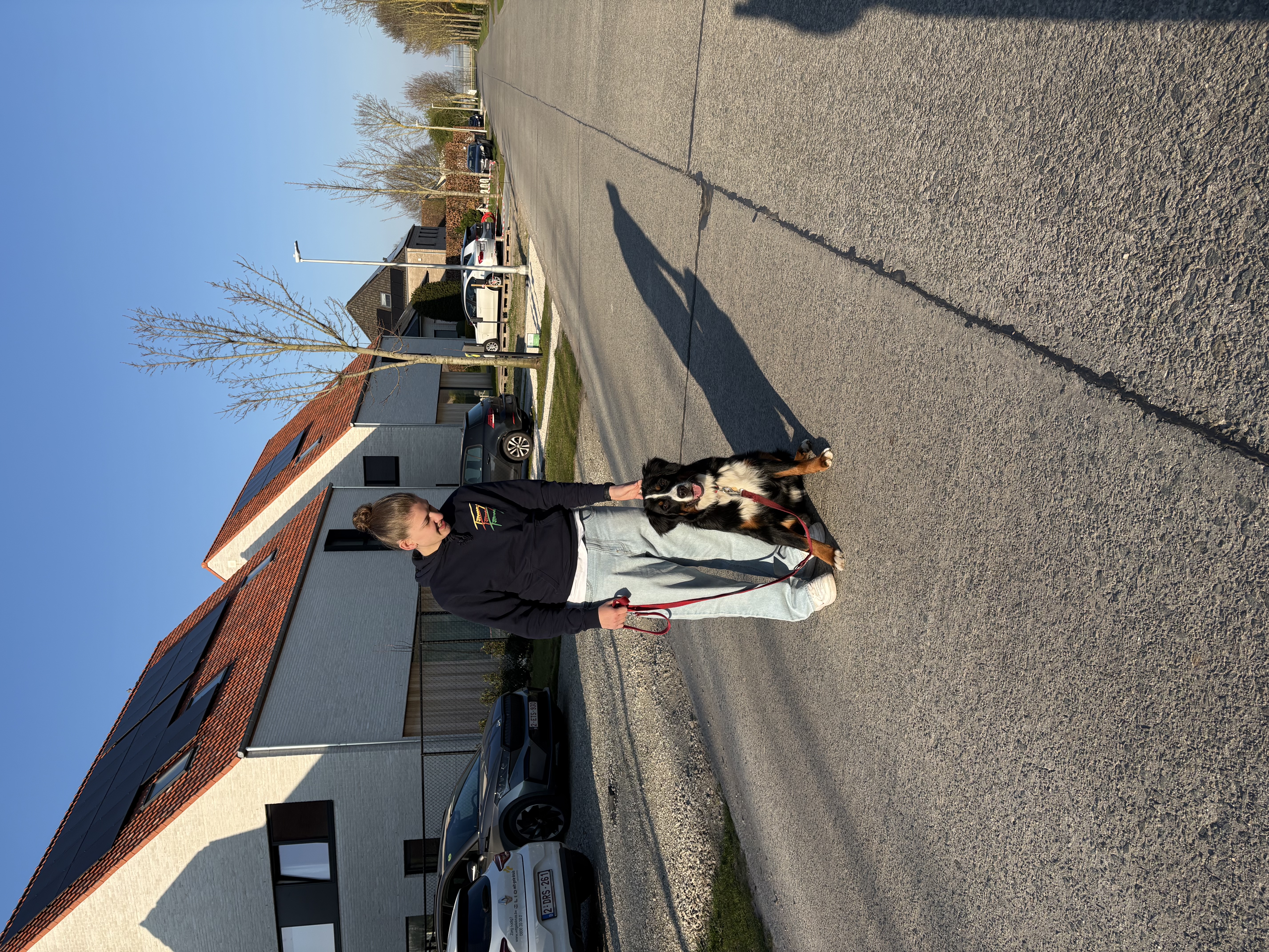 image-14