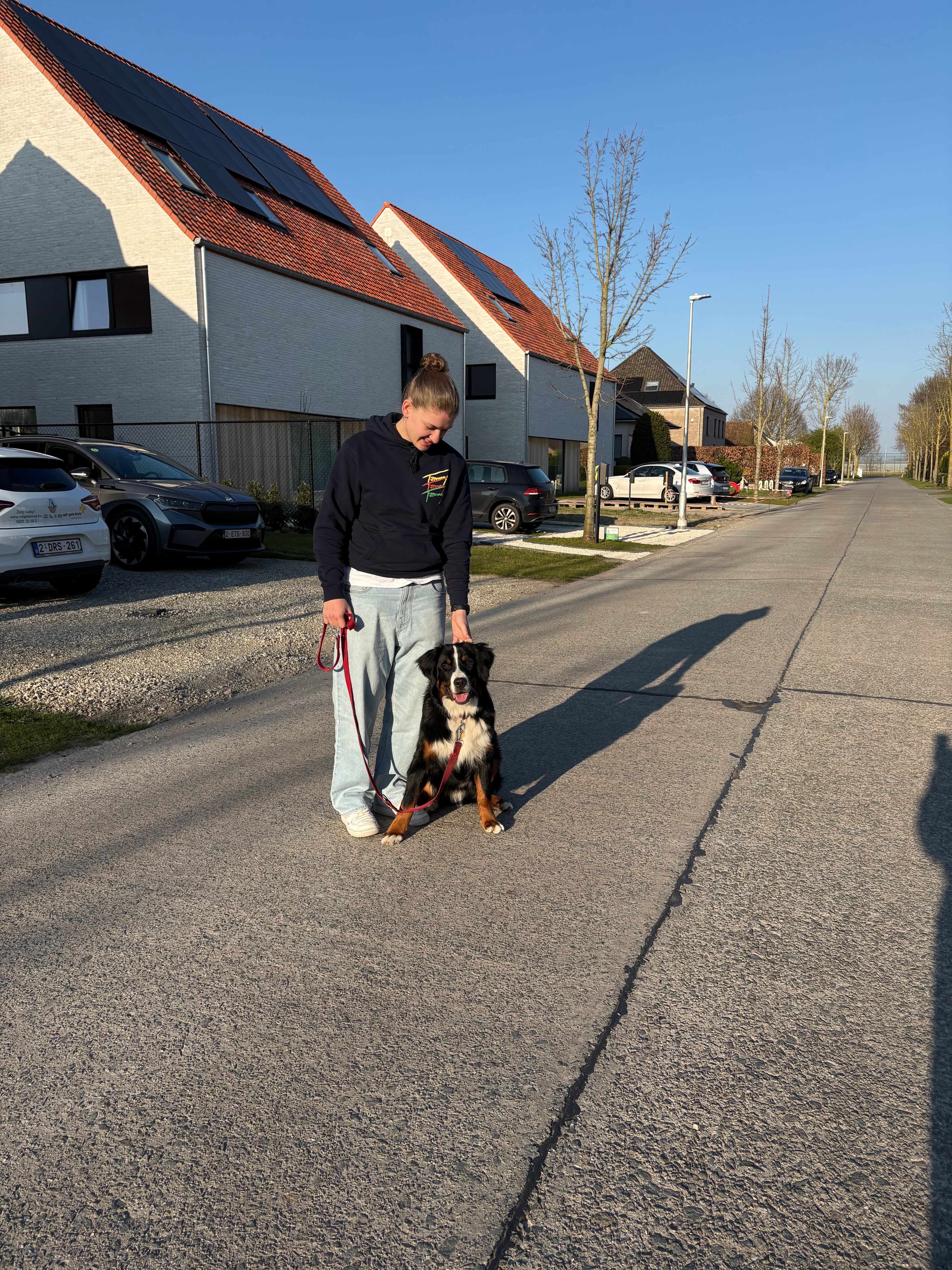 image-14