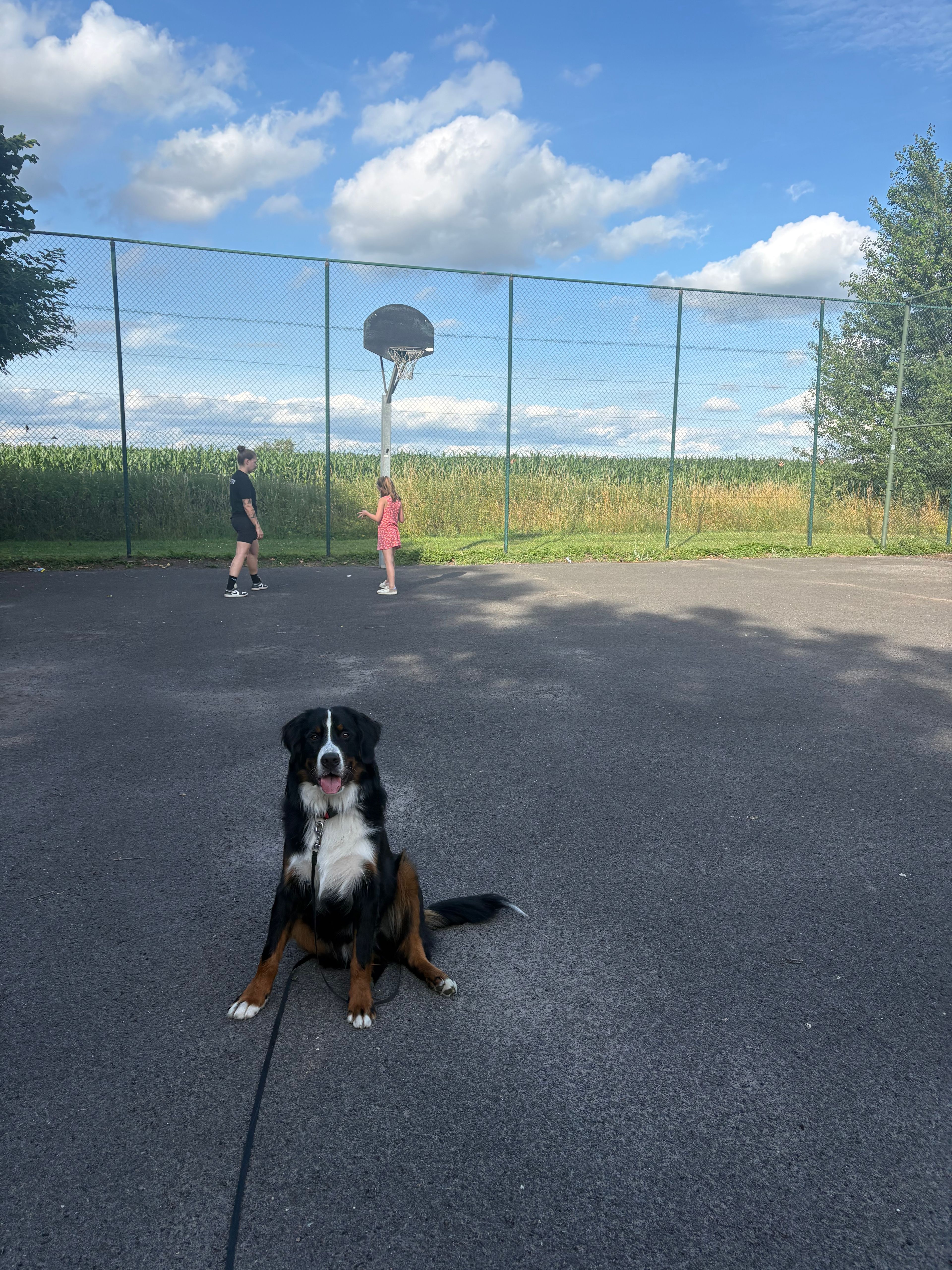 image-9