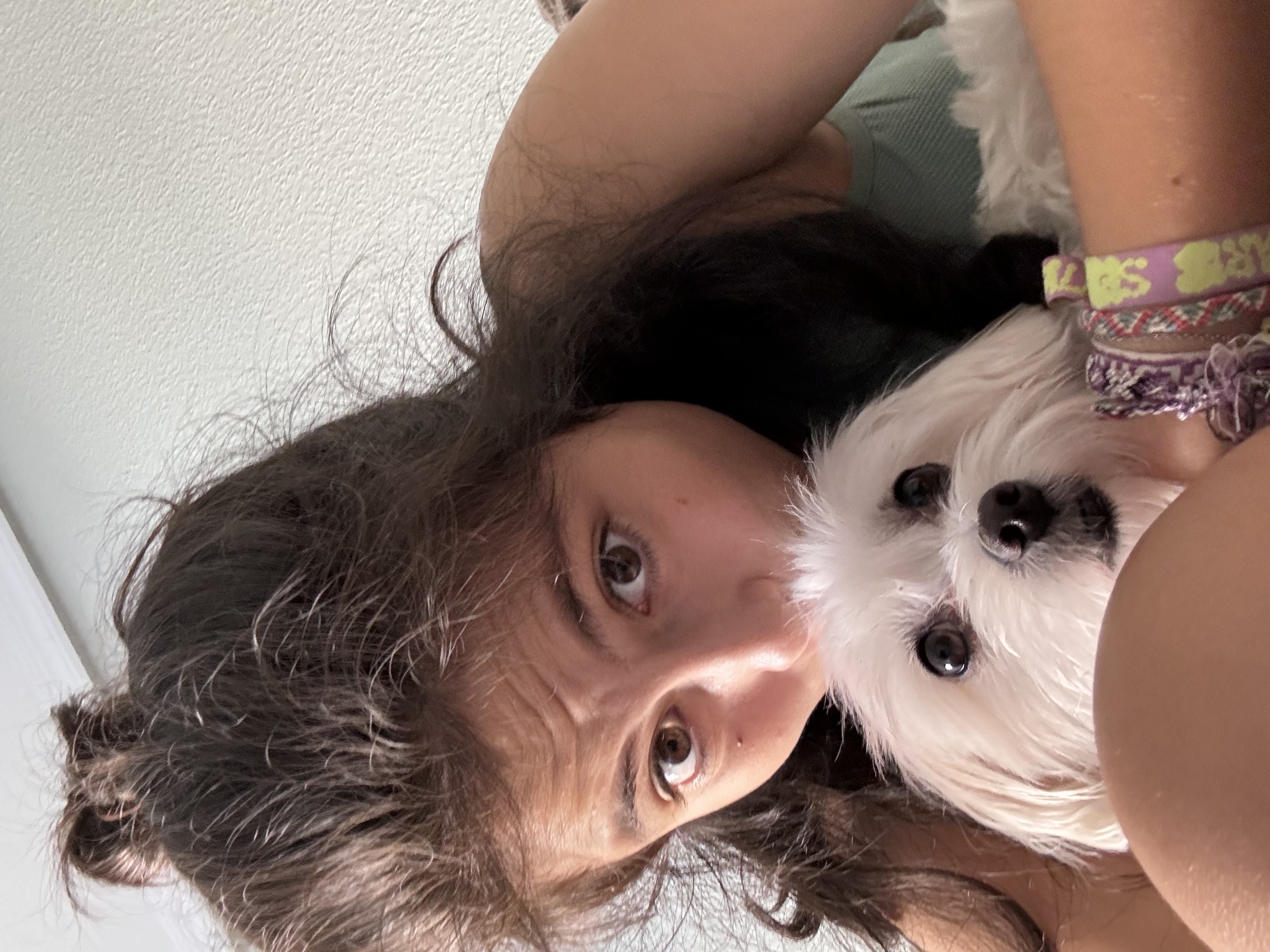 image-6