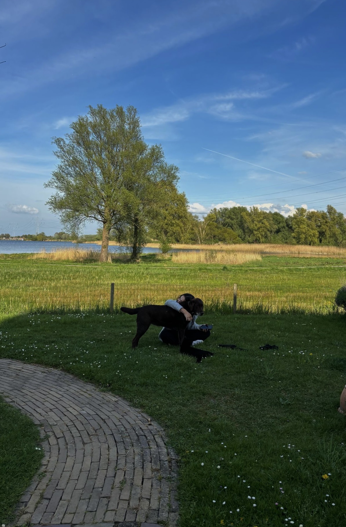 image-5