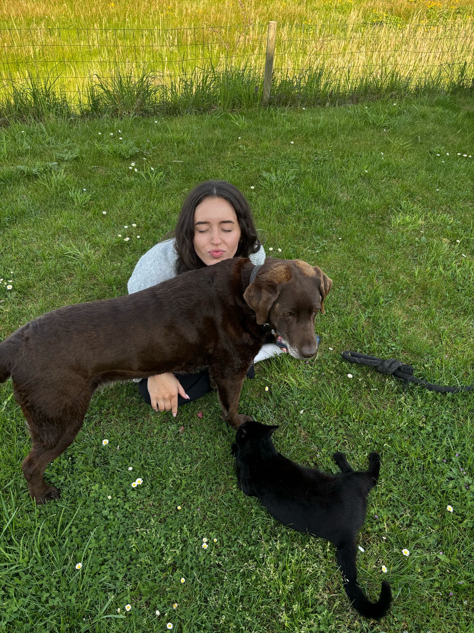 image-2