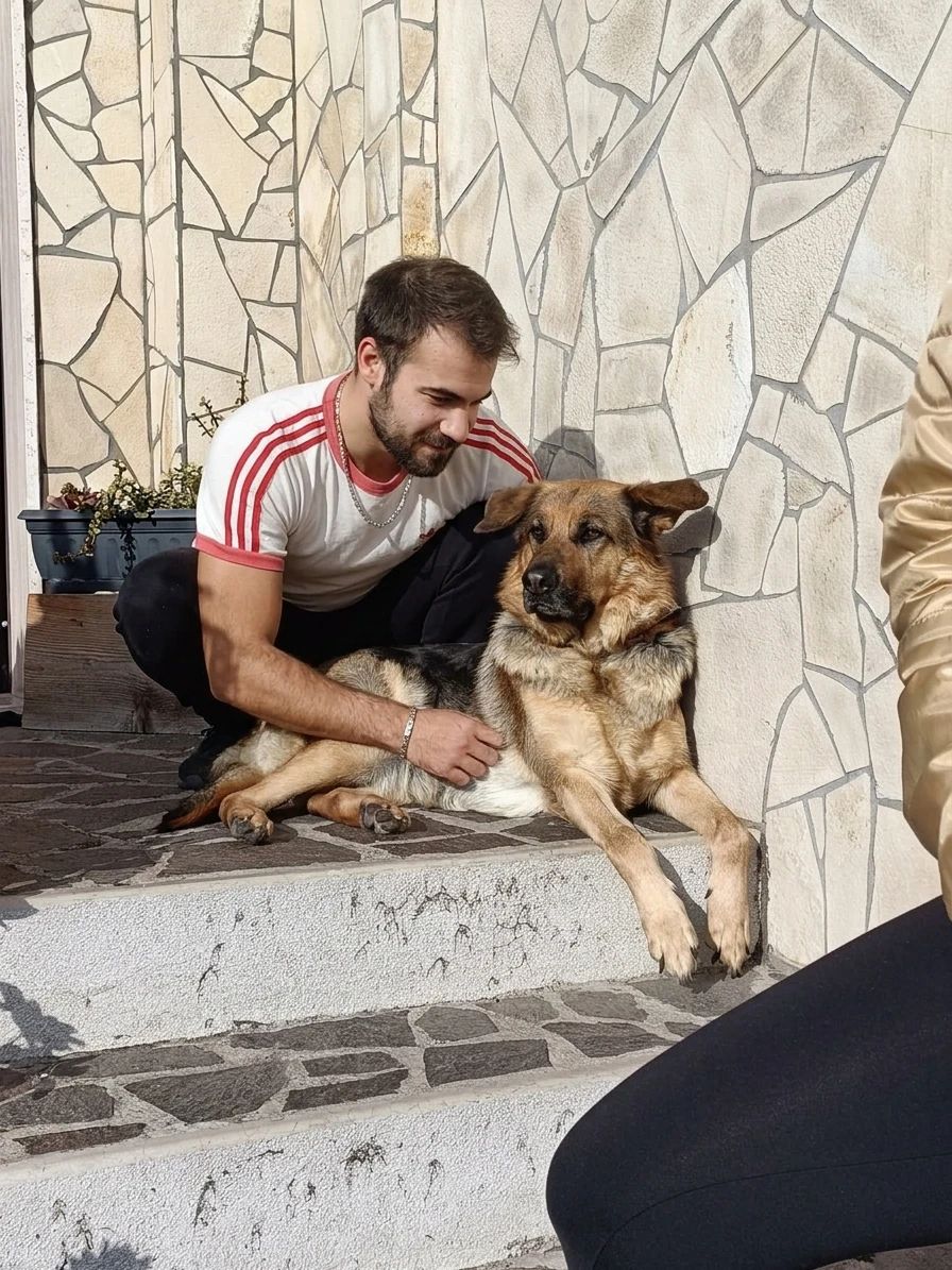 image-7