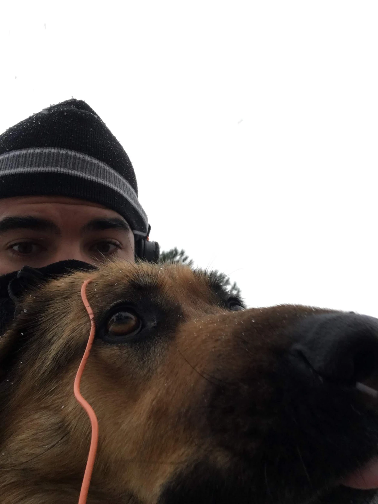 image-5