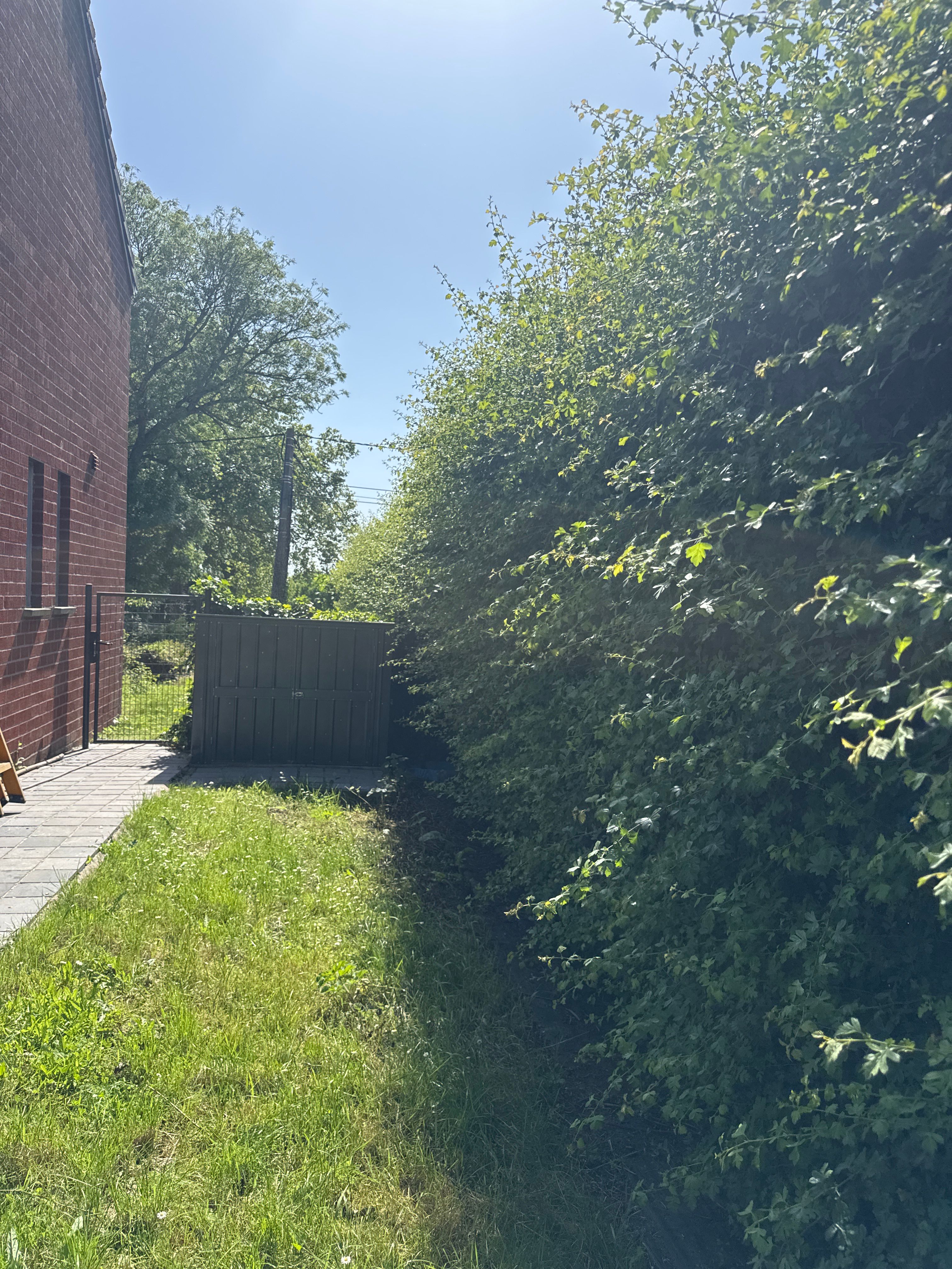 image-13