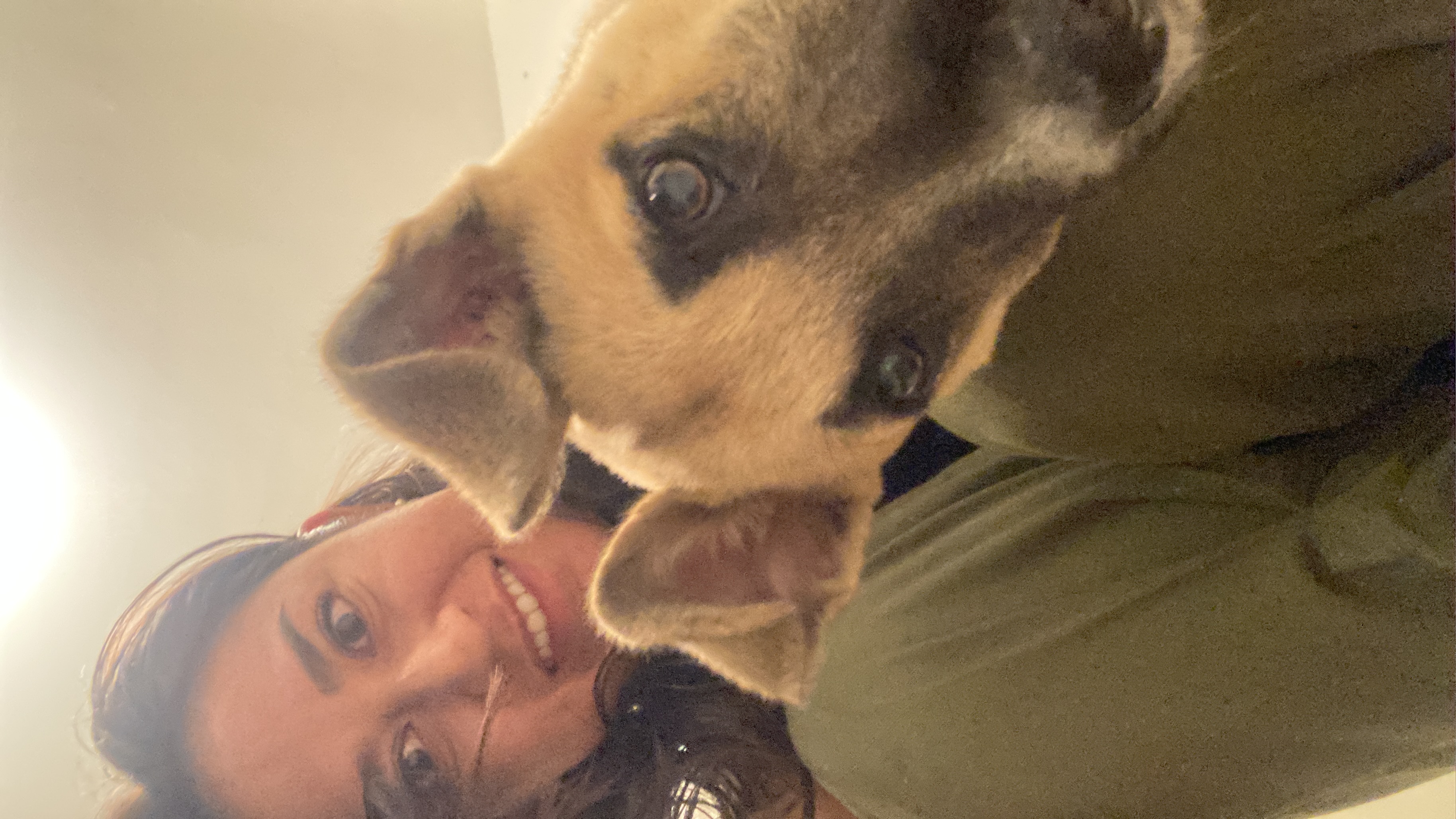 image-6